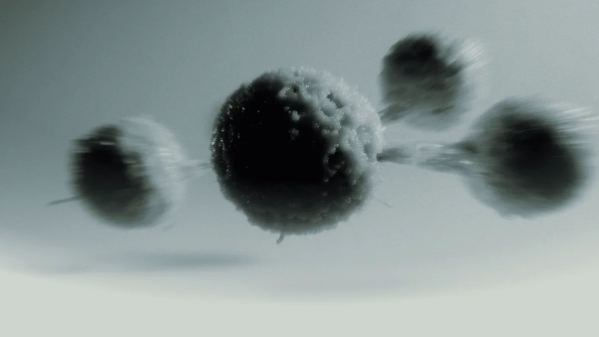Bacteroidetes and Firmicutes: What’s the Deal?