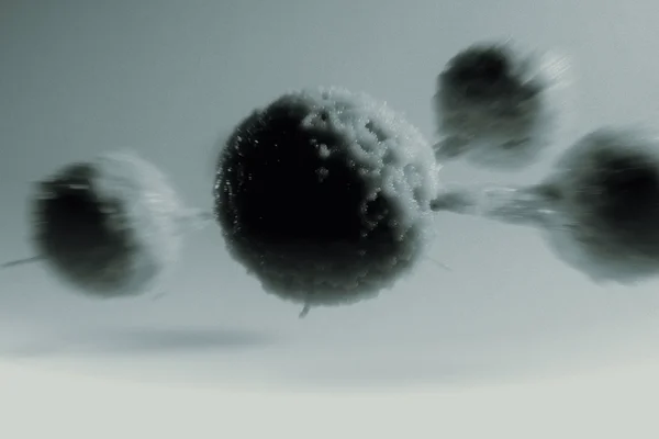 Bacteroidetes and Firmicutes: What’s the Deal?