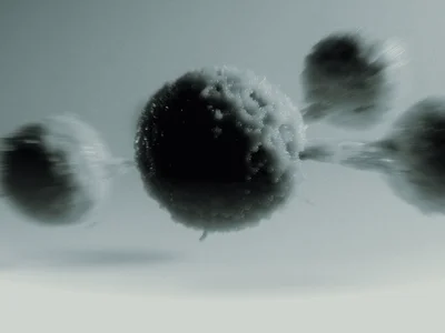 Bacteroidetes and Firmicutes: What’s the Deal?