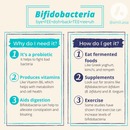 Bacterial Spotlight: All About Bifidobacteria