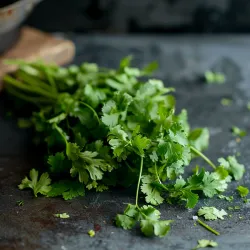 Coriander