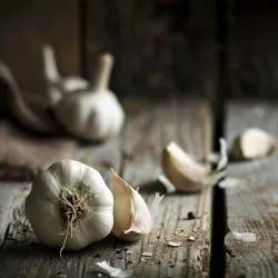 Garlic