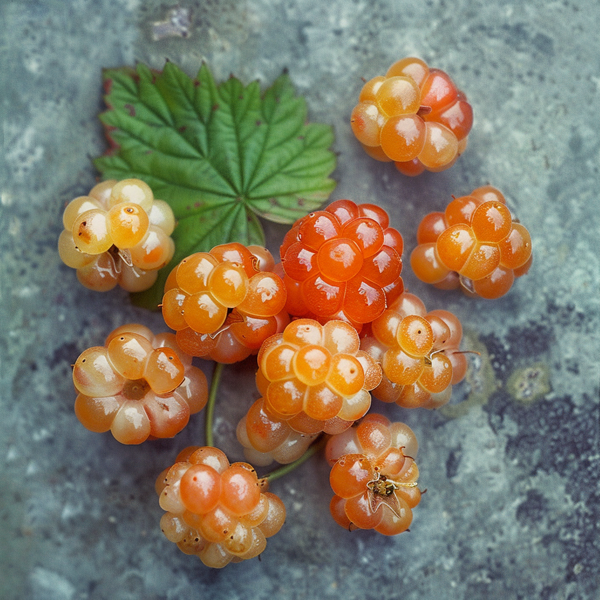 Cloudberries