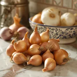 Shallots