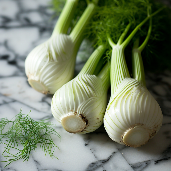 Fennel