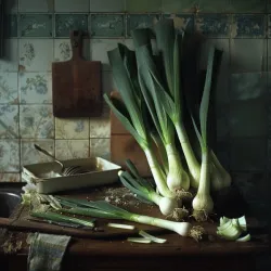 Leek