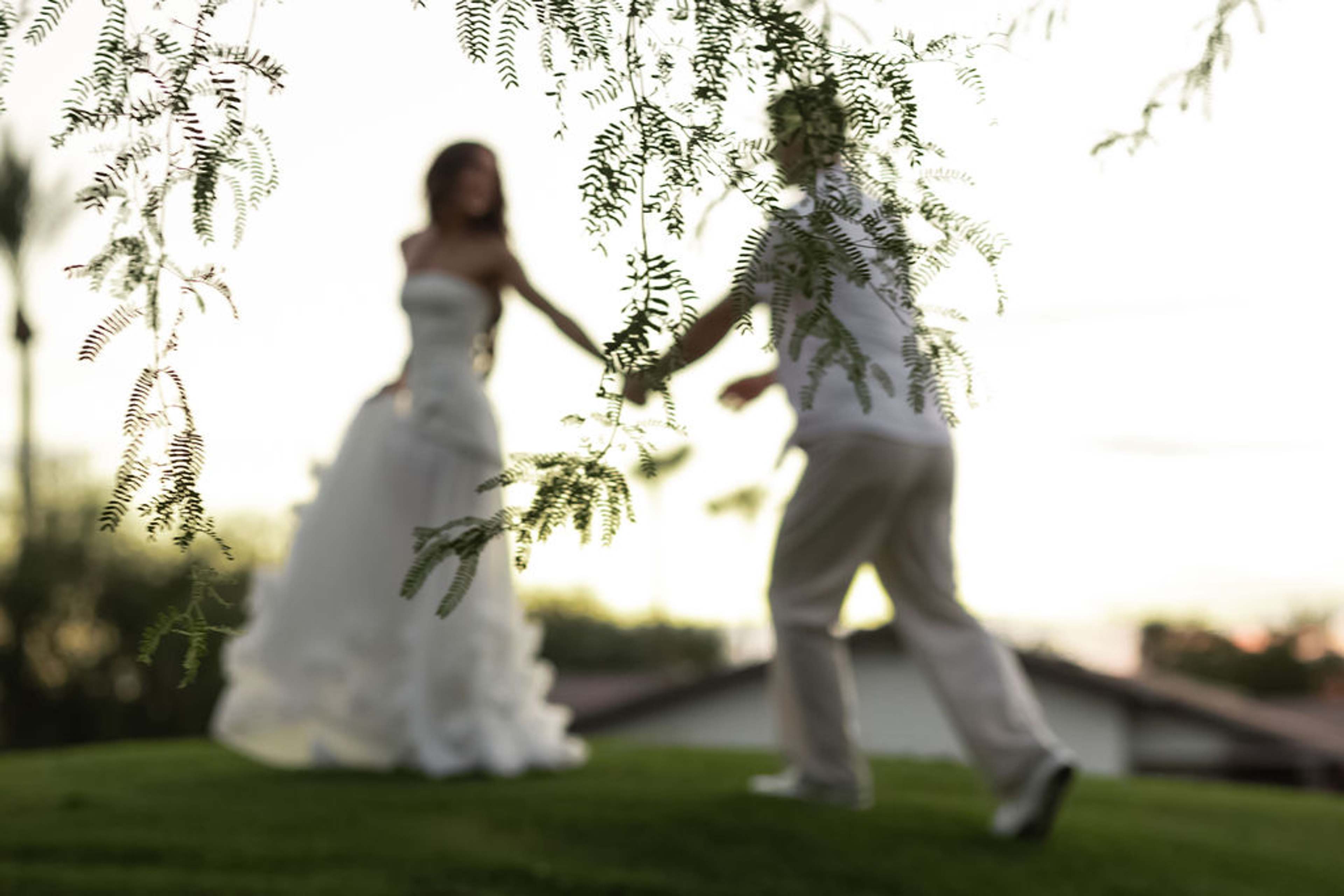 A couple seen through hanging green foliage, reaching toward each other on a sunlit lawn