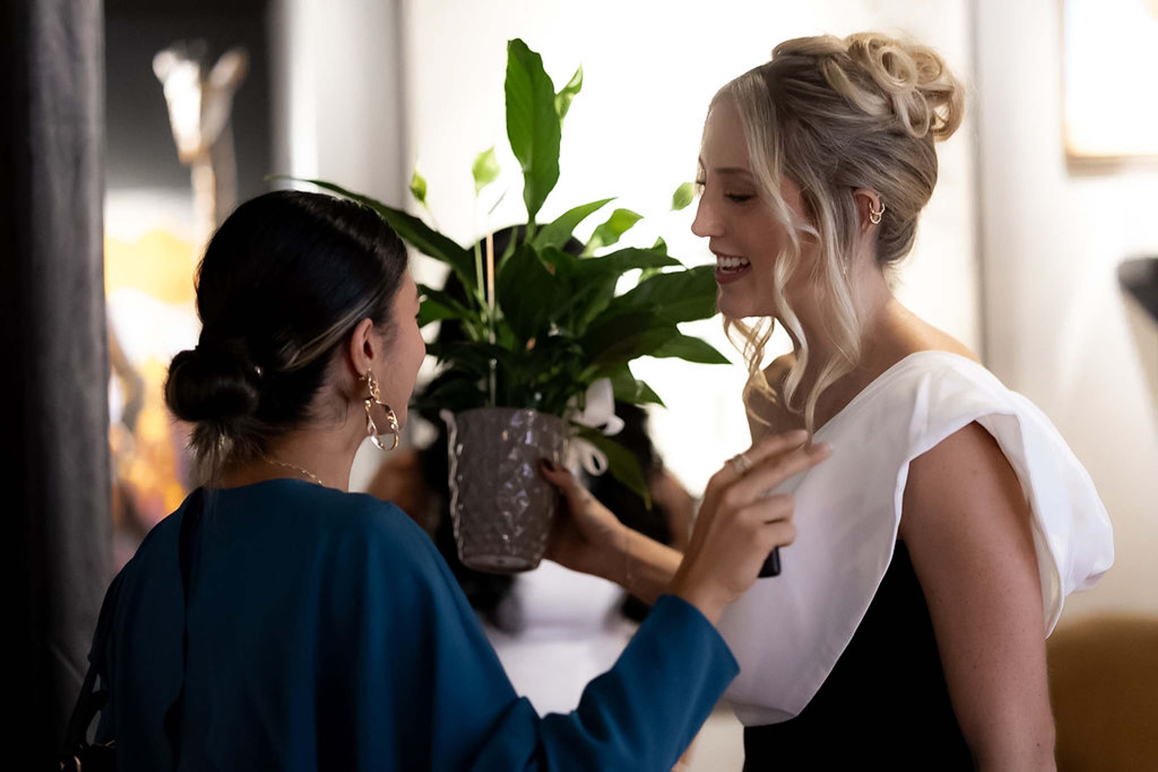 A potted plant passed between guests as a gift