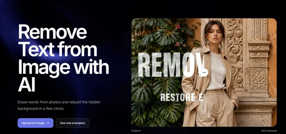 image of RemoveText image of RemoveText