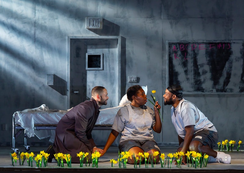 CLEANSED — lighting design