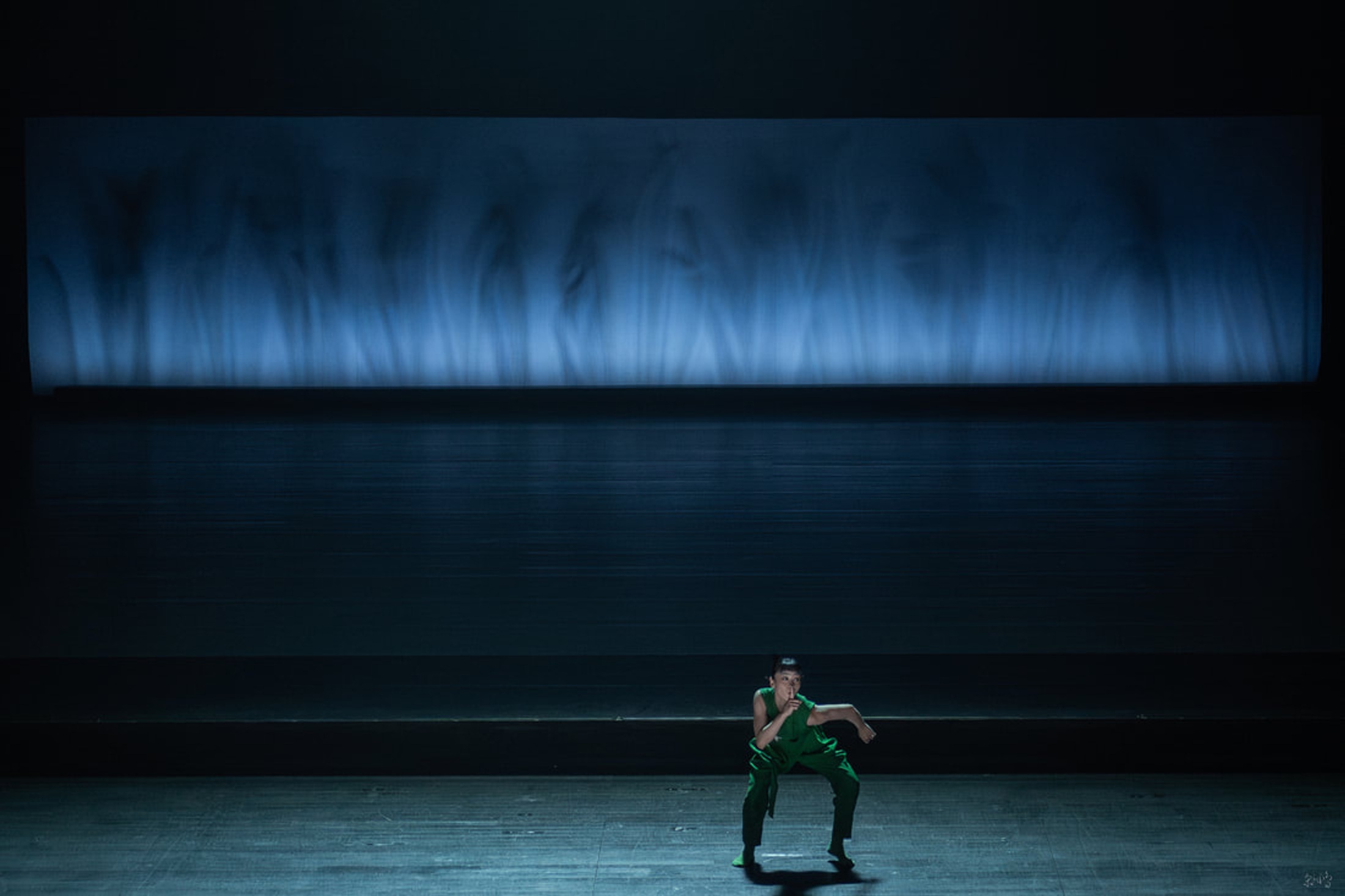 PETER PAN 7
