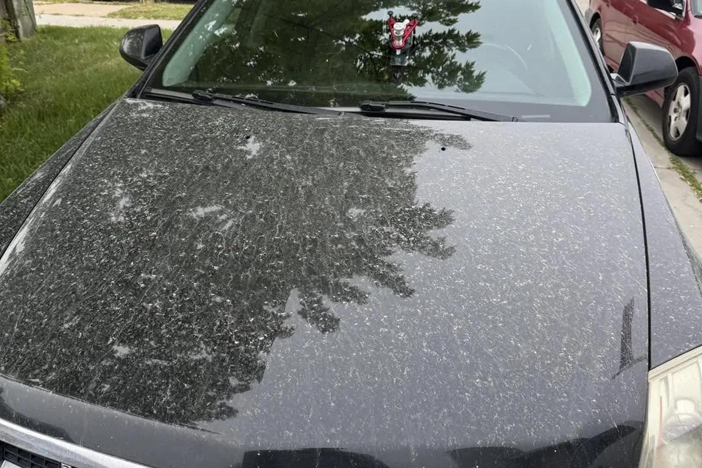 Mobile windshield repair service morning — RapidChip Mobile Repair