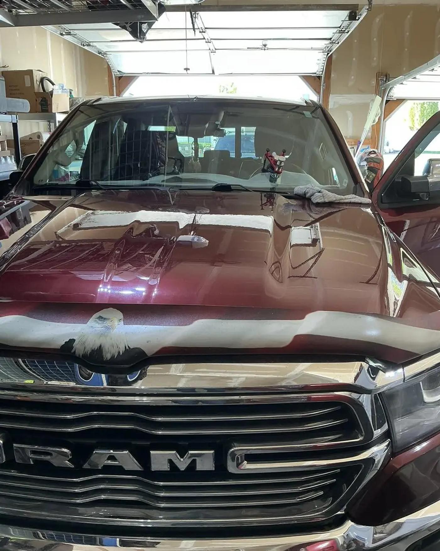 Ram truck windshield chip repair — RapidChip Mobile Repair