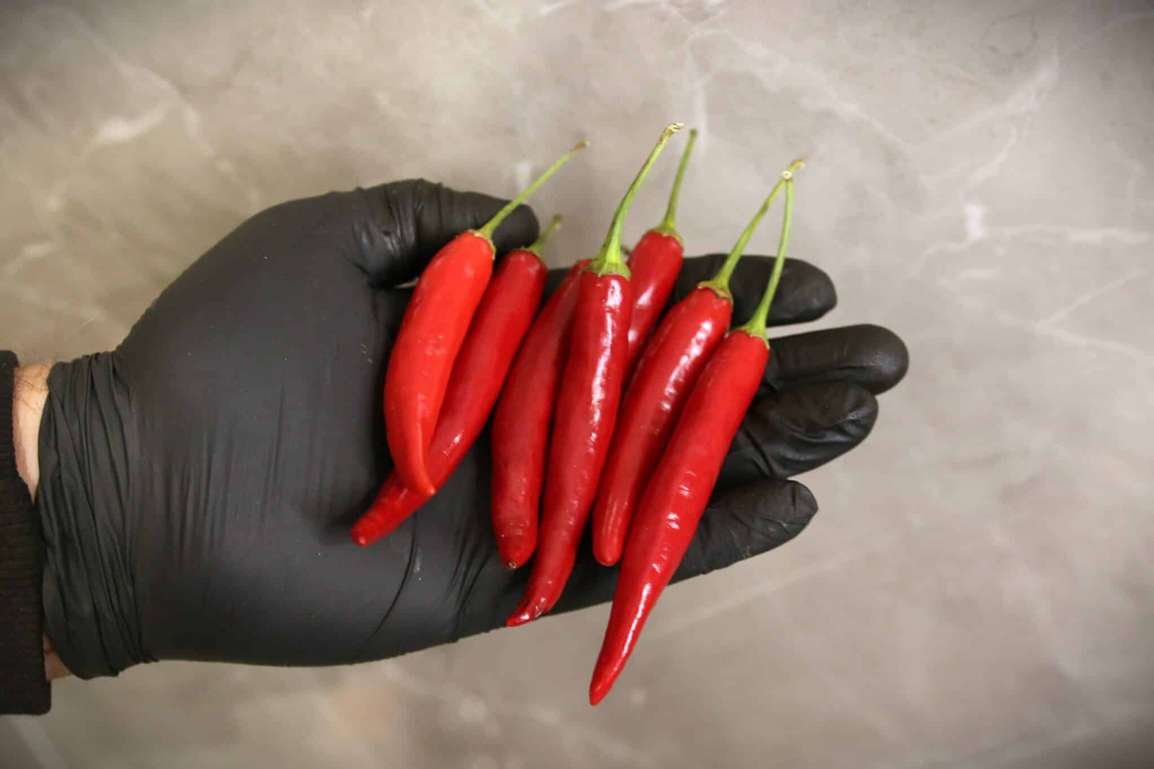 Heart Throb - Svenskodlade chilifrön från Svenska Frön