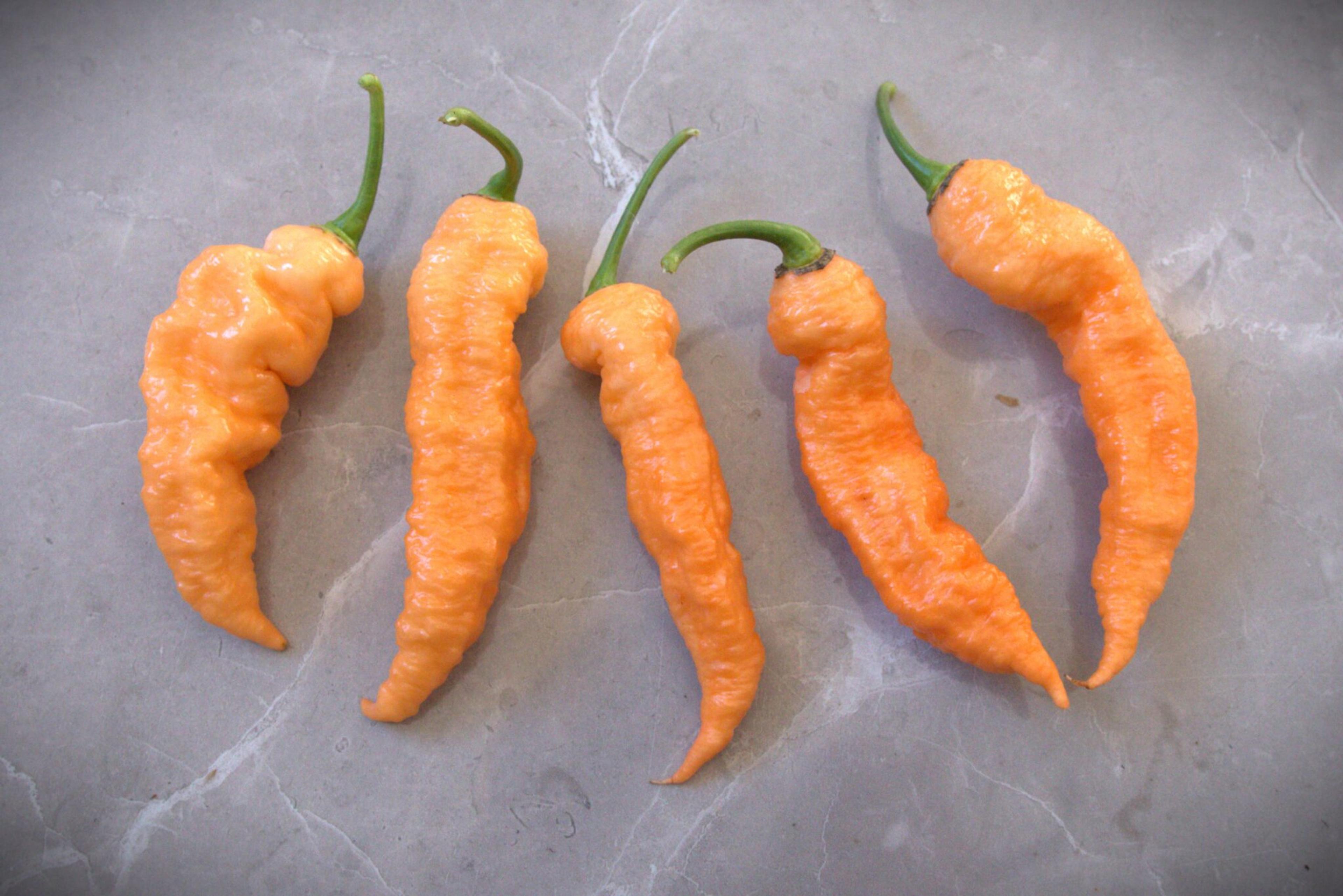 Bhut Jolokia Peach miniatyrbild 2