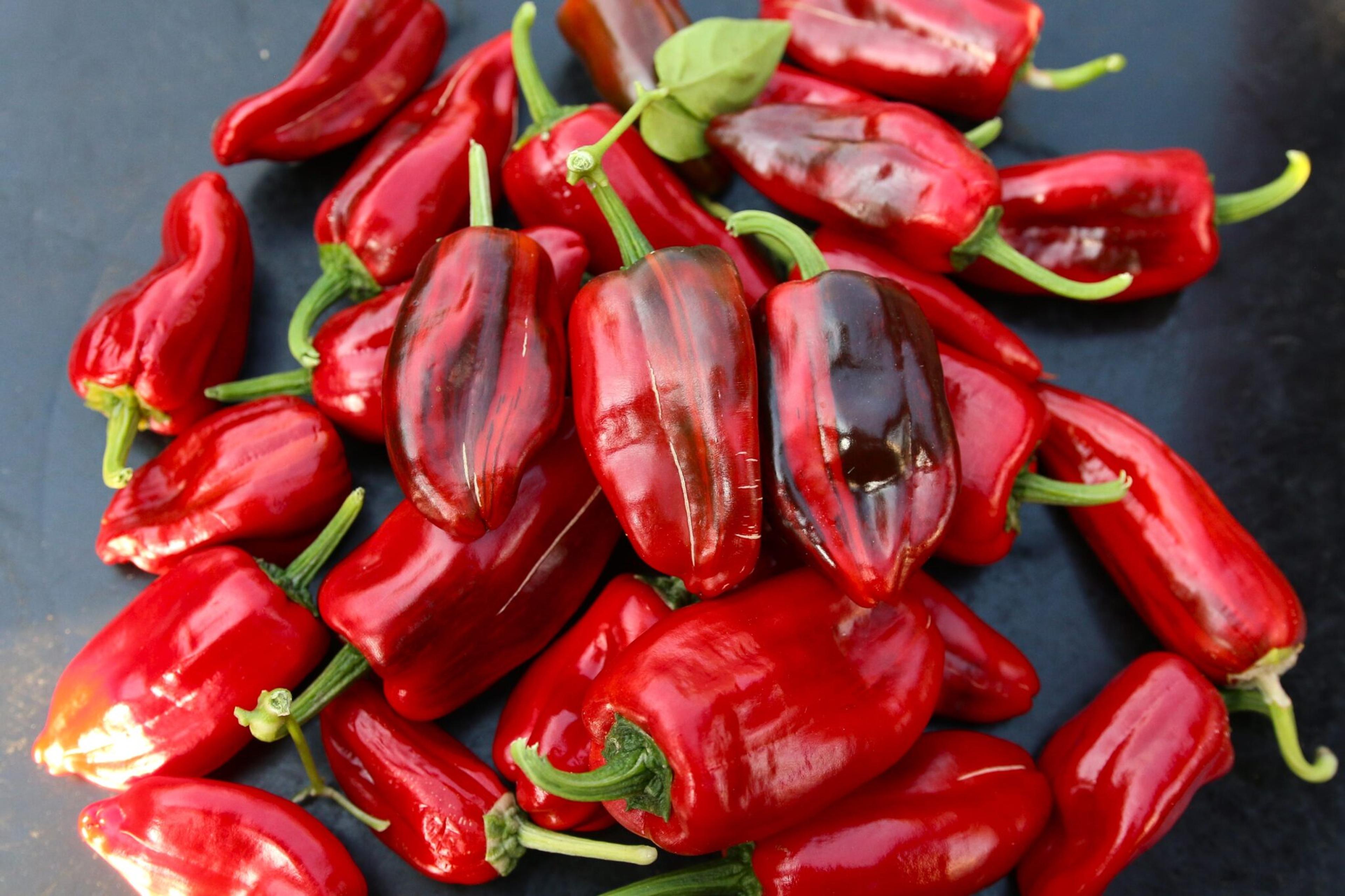 Candy Cane miniatyrbild 2