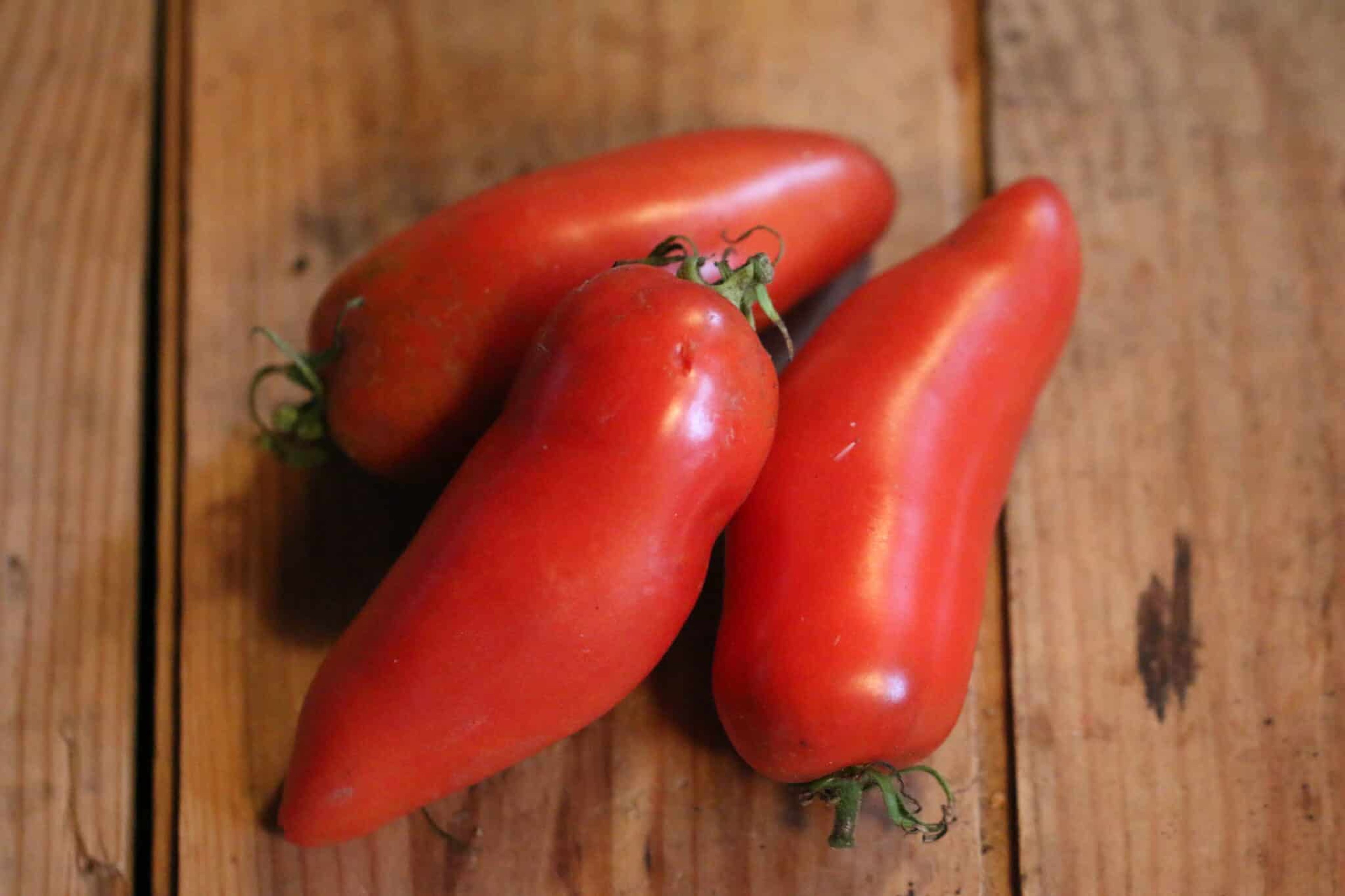 Jersey Devil - Svenskodlade tomatfrön från Svenska Frön