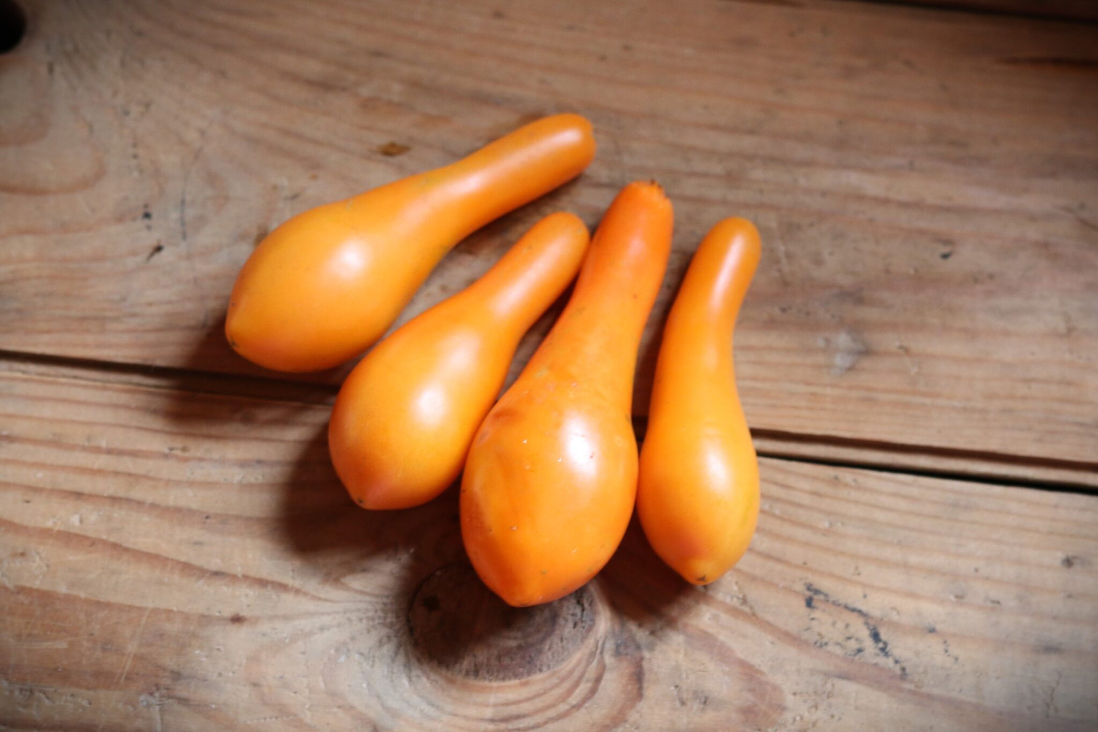 Mila - Svenskodlade tomatfrön från Svenska Frön