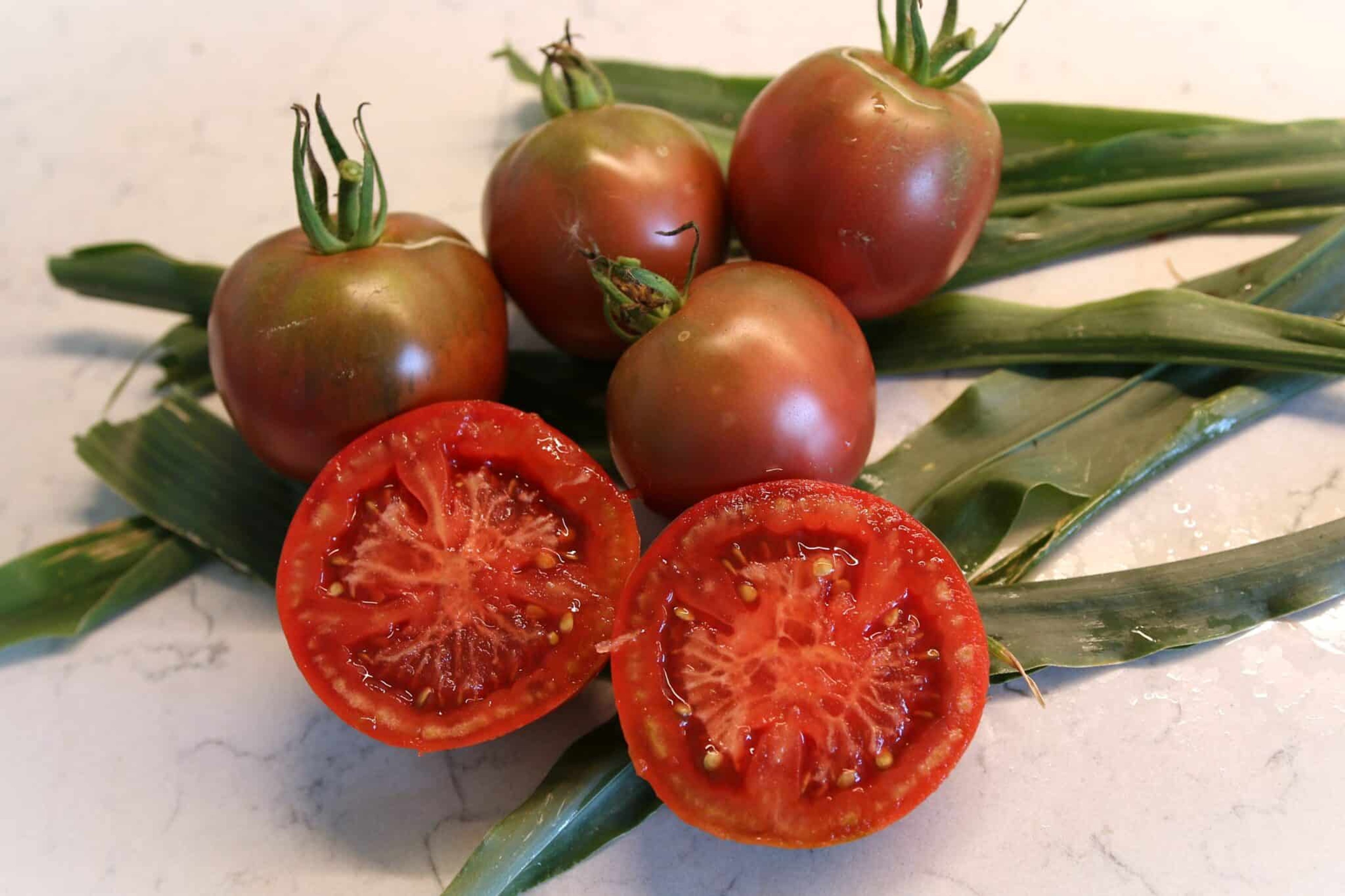 Black Russian - Svenskodlade tomatfrön från Svenska Frön