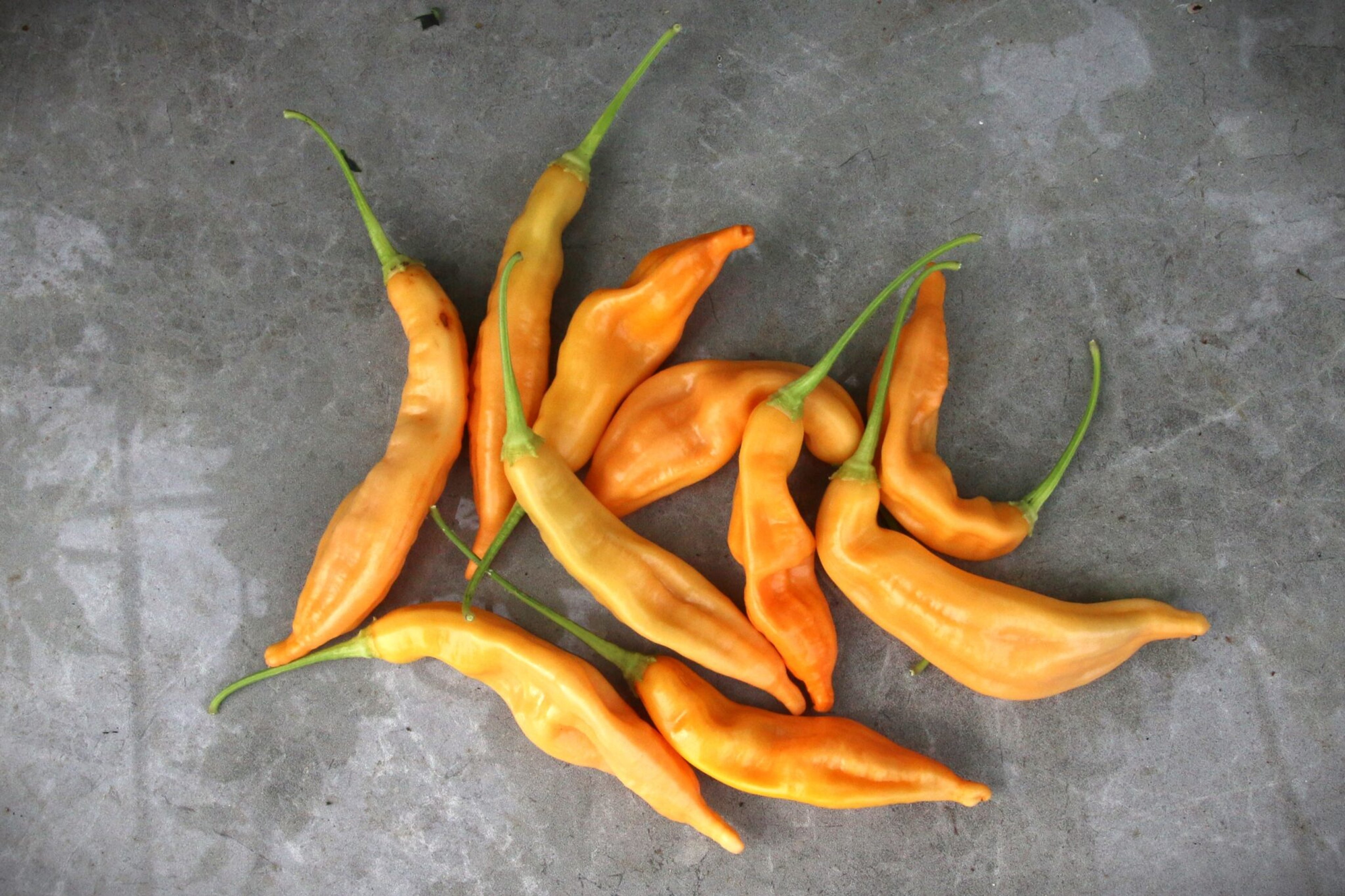 Aji Peach - Svenskodlade chilifrön från Svenska Frön