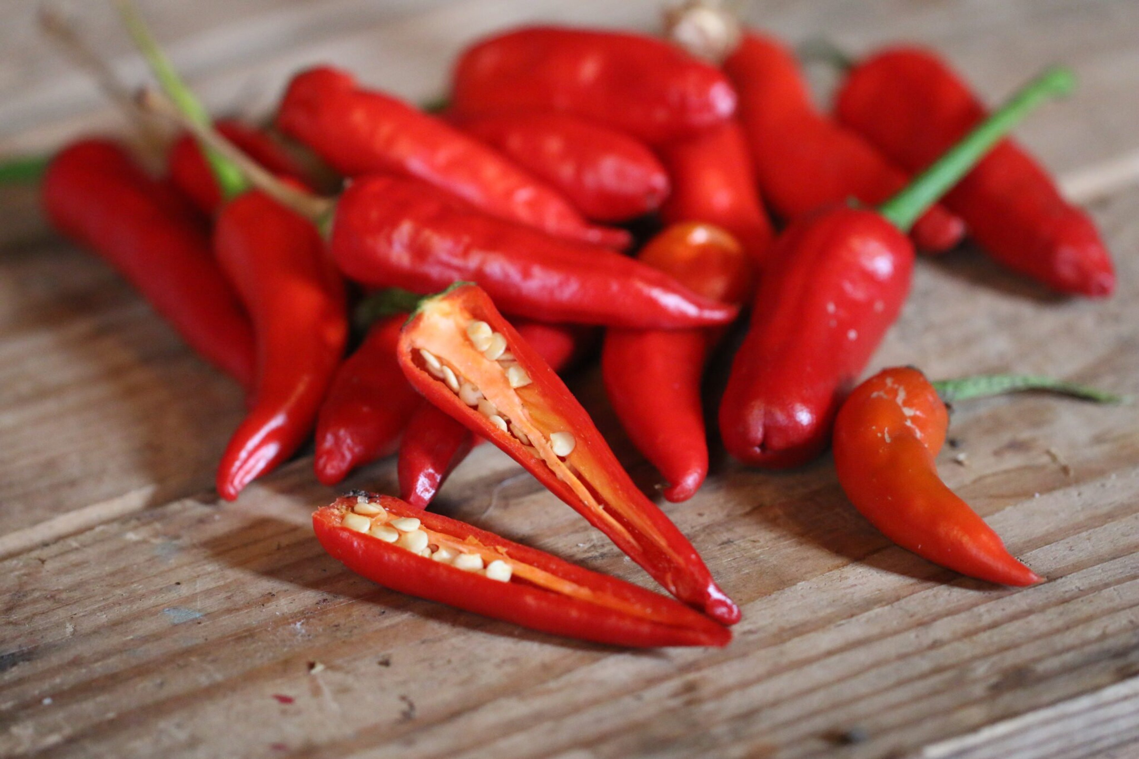 Mirasol - Svenskodlade chilifrön från Svenska Frön