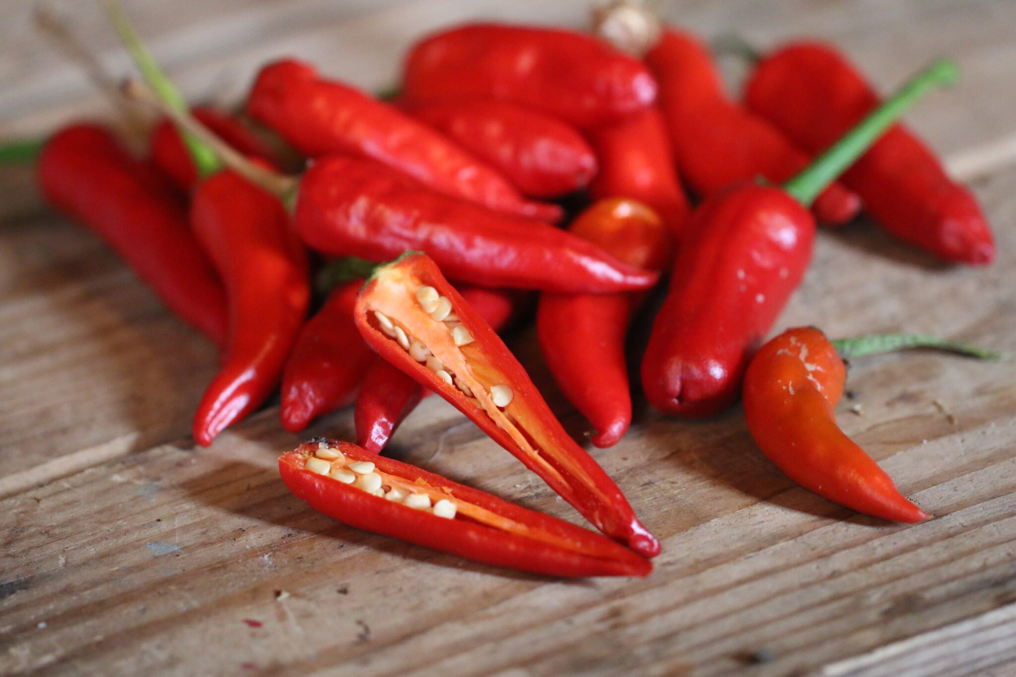 Köp Mirasol - Chilifrön online hos Svenska Frön Mirasol - Svenskodlade chilifrön från Svenska Frön