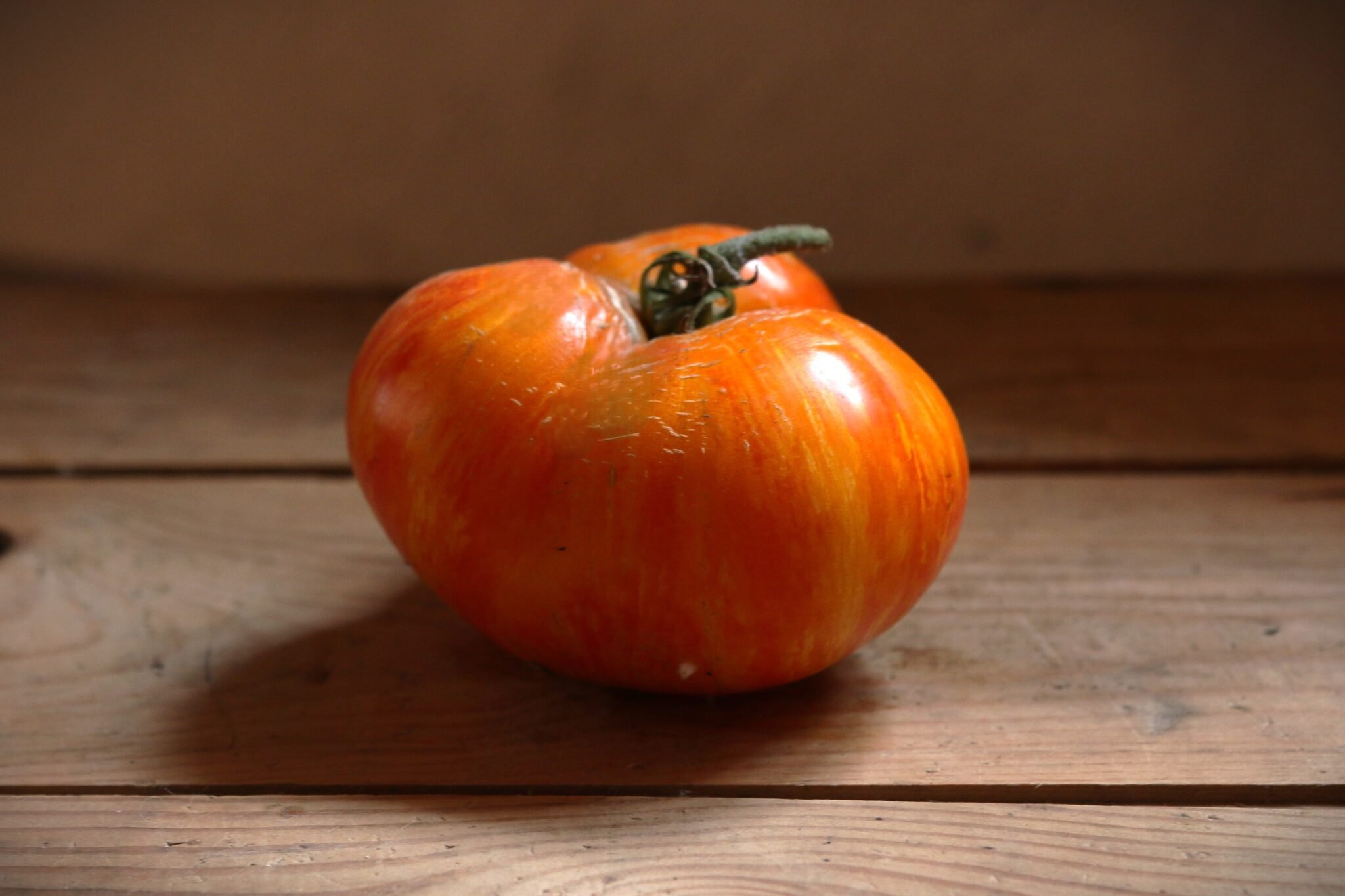 Köp Plan 9 From Outer Space - Tomatfrön online hos Svenska Frön Plan 9 From Outer Space - Svenskodlade tomatfrön från Svenska Frön