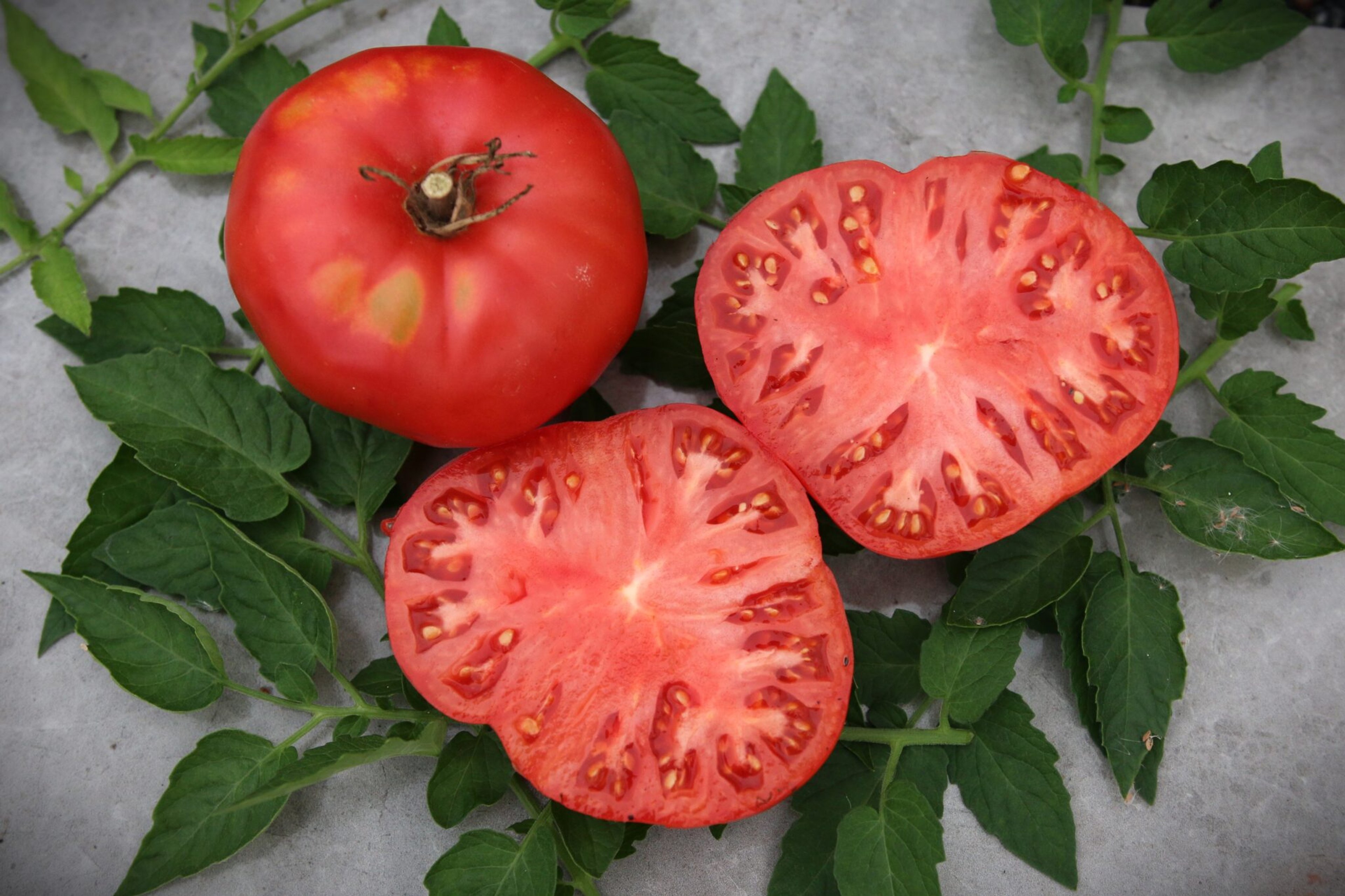 Berrys Crazy Beef - Svenskodlade tomatfrön från Svenska Frön