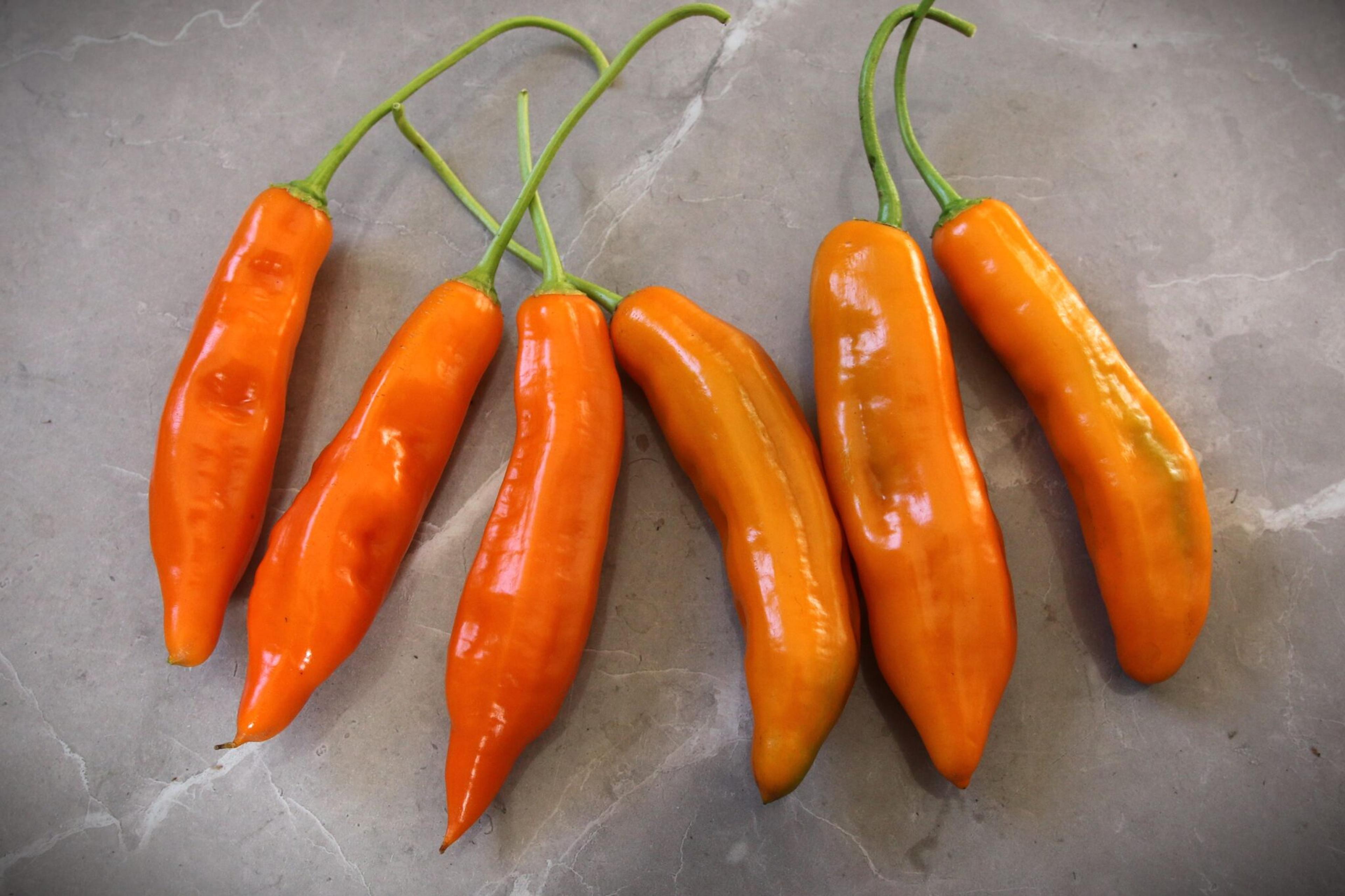 Aji Amarillo miniatyrbild 2