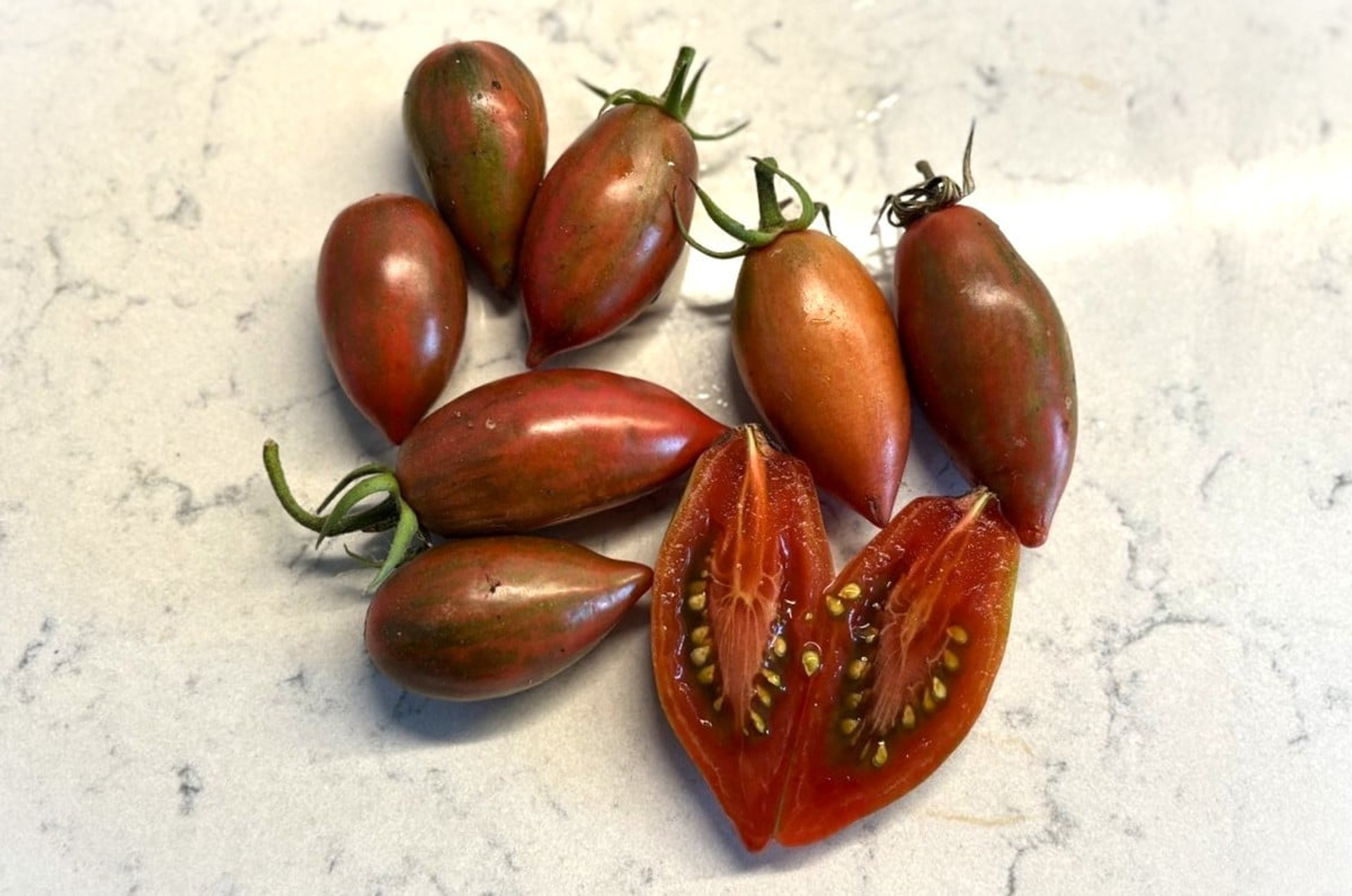 Purple Smaragd - Svenskodlade tomatfrön från Svenska Frön