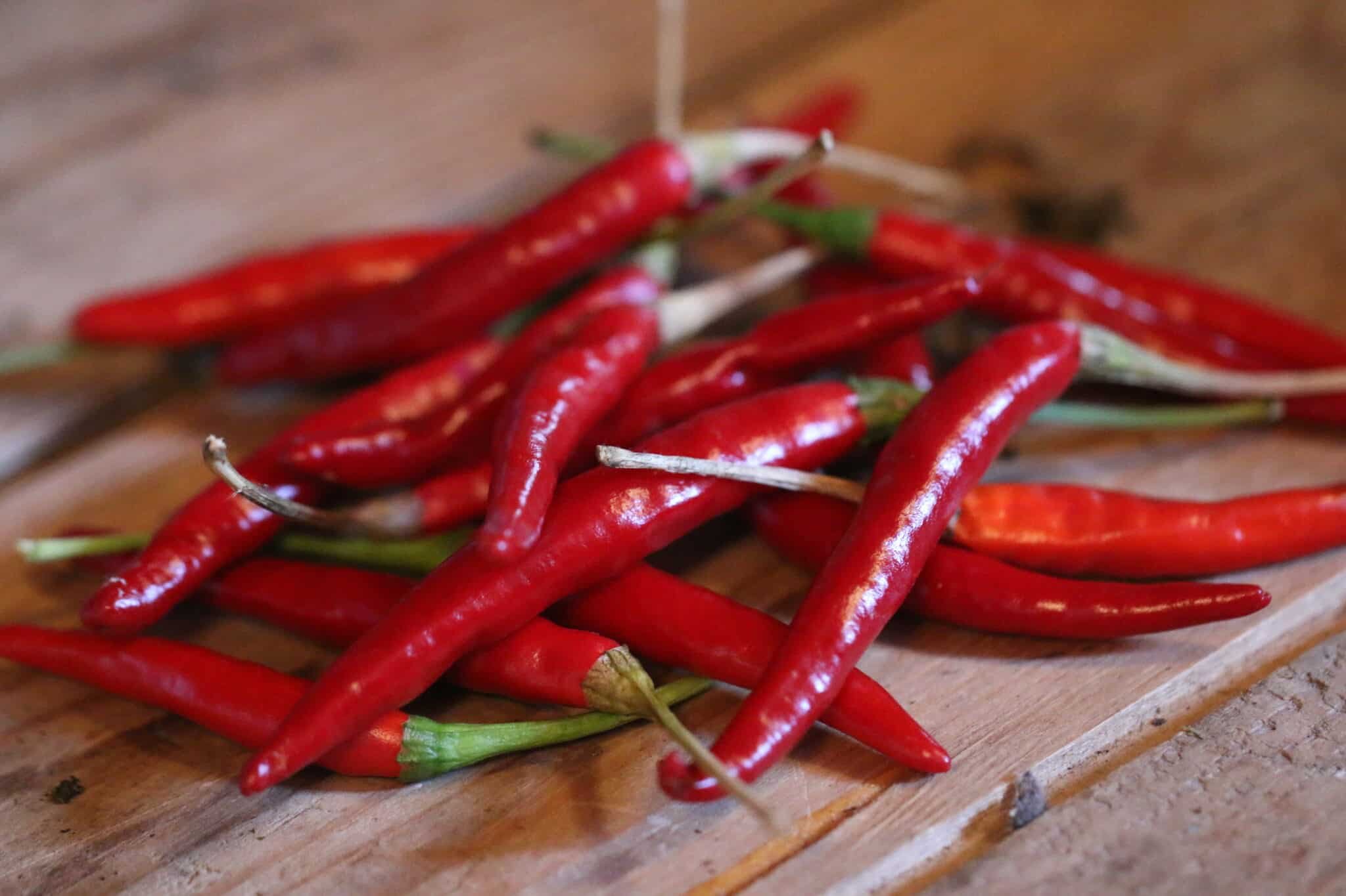 Köp Thai Culinary - Chilifrön online hos Svenska Frön Thai Culinary - Svenskodlade chilifrön från Svenska Frön