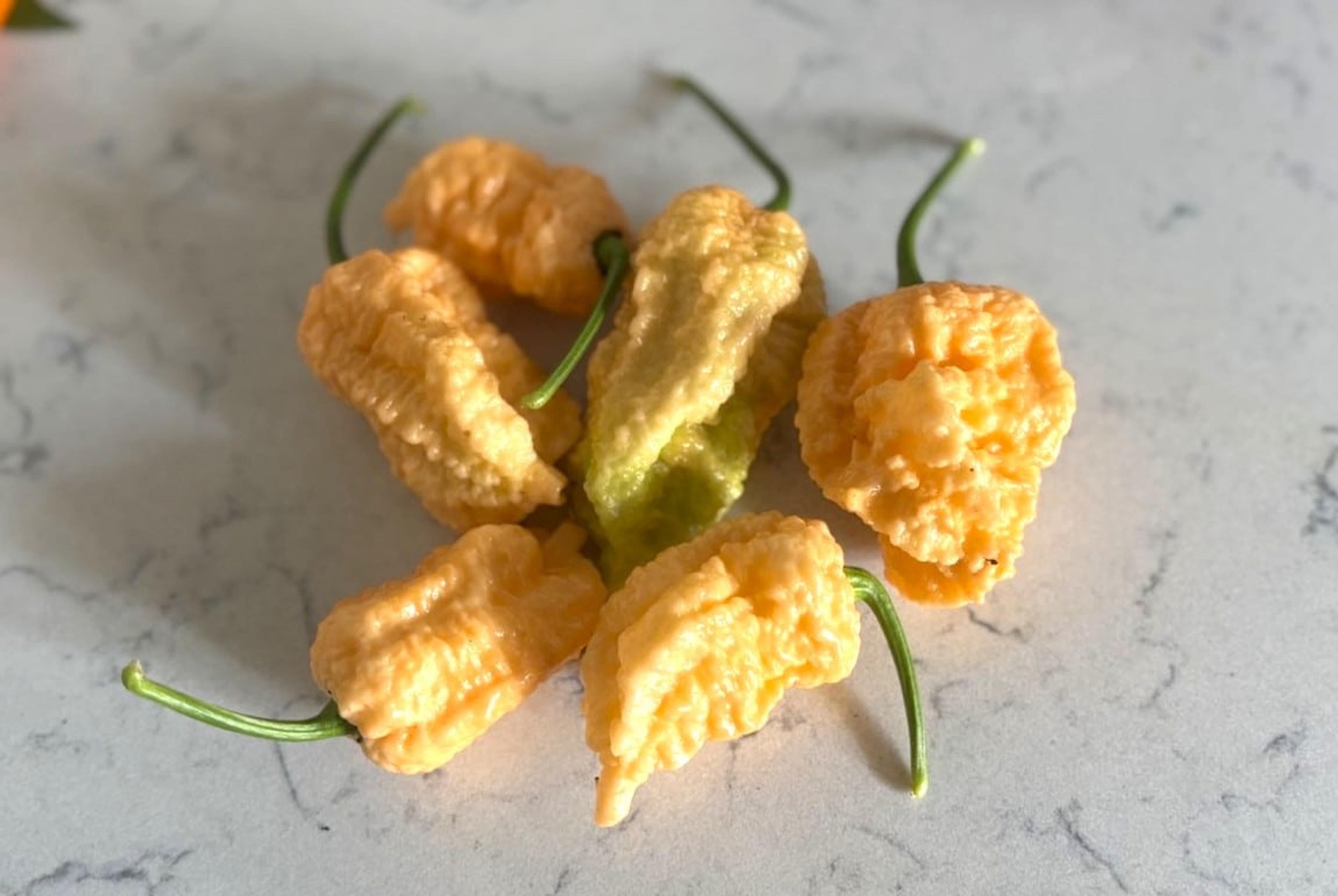 Peach Miasma miniatyrbild 2