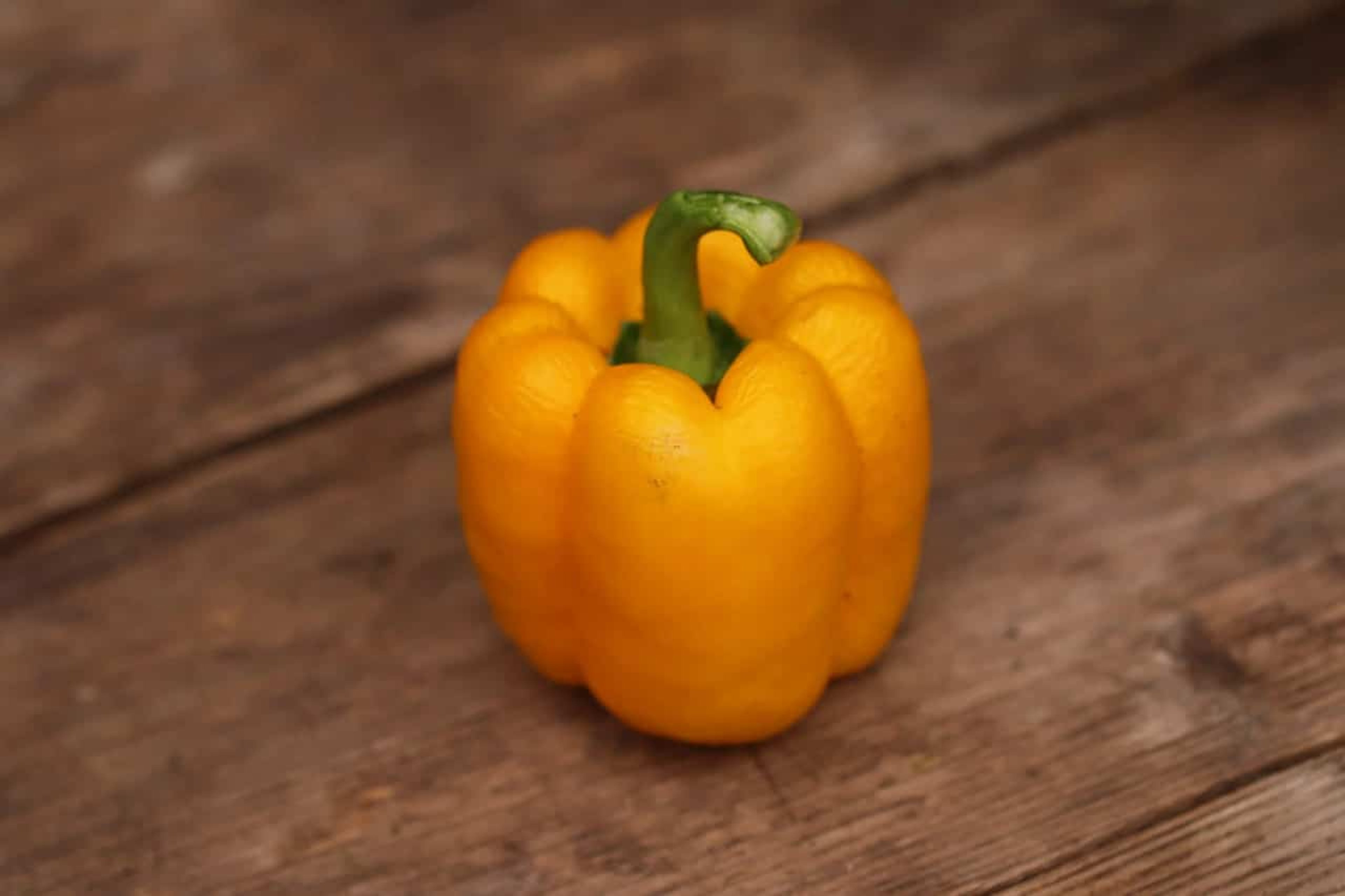 Orange blockpaprika av sorten Bell Orange på paprikaplantan