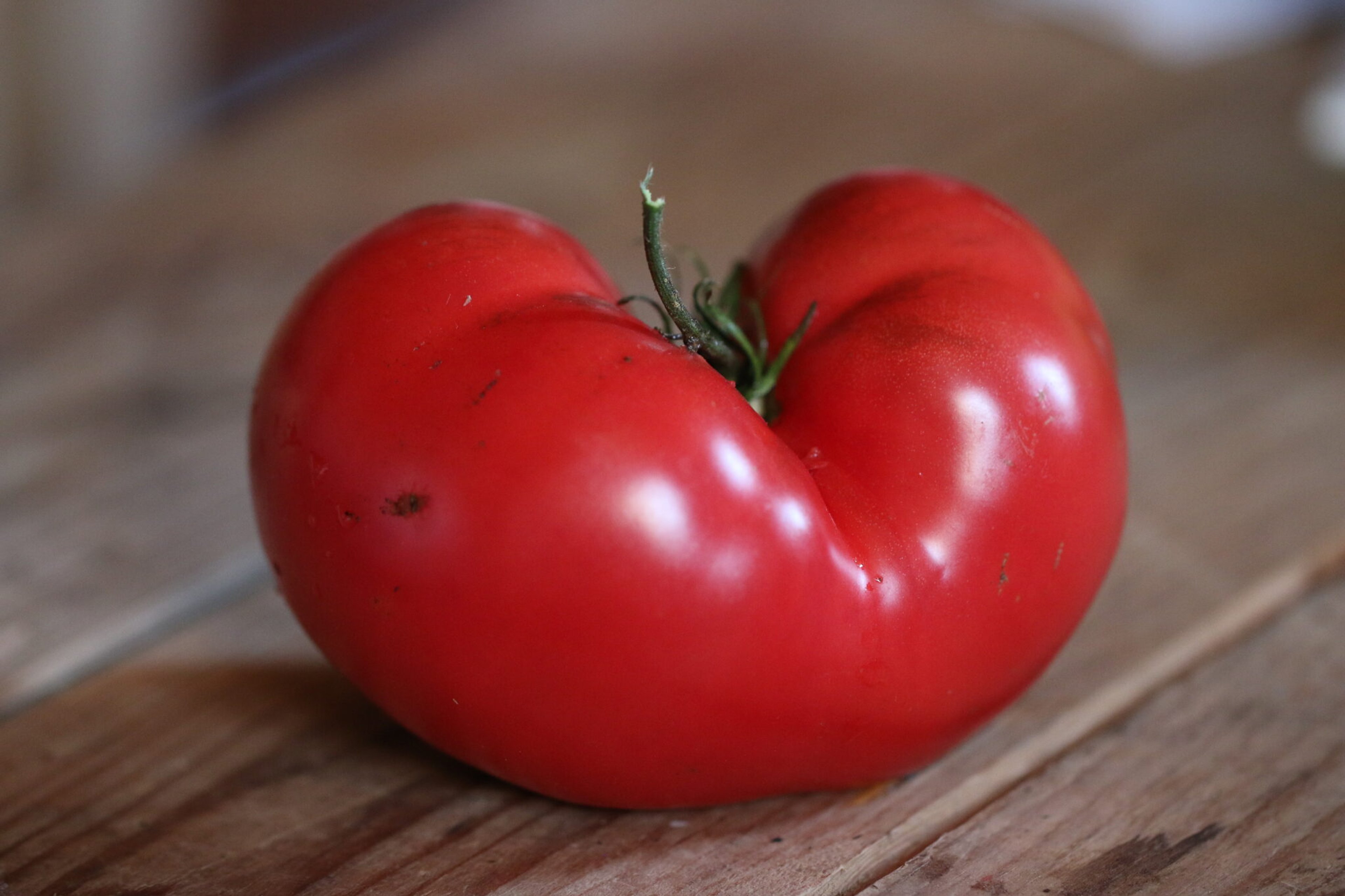 Brandywine röd - Svenskodlade tomatfrön från Svenska Frön