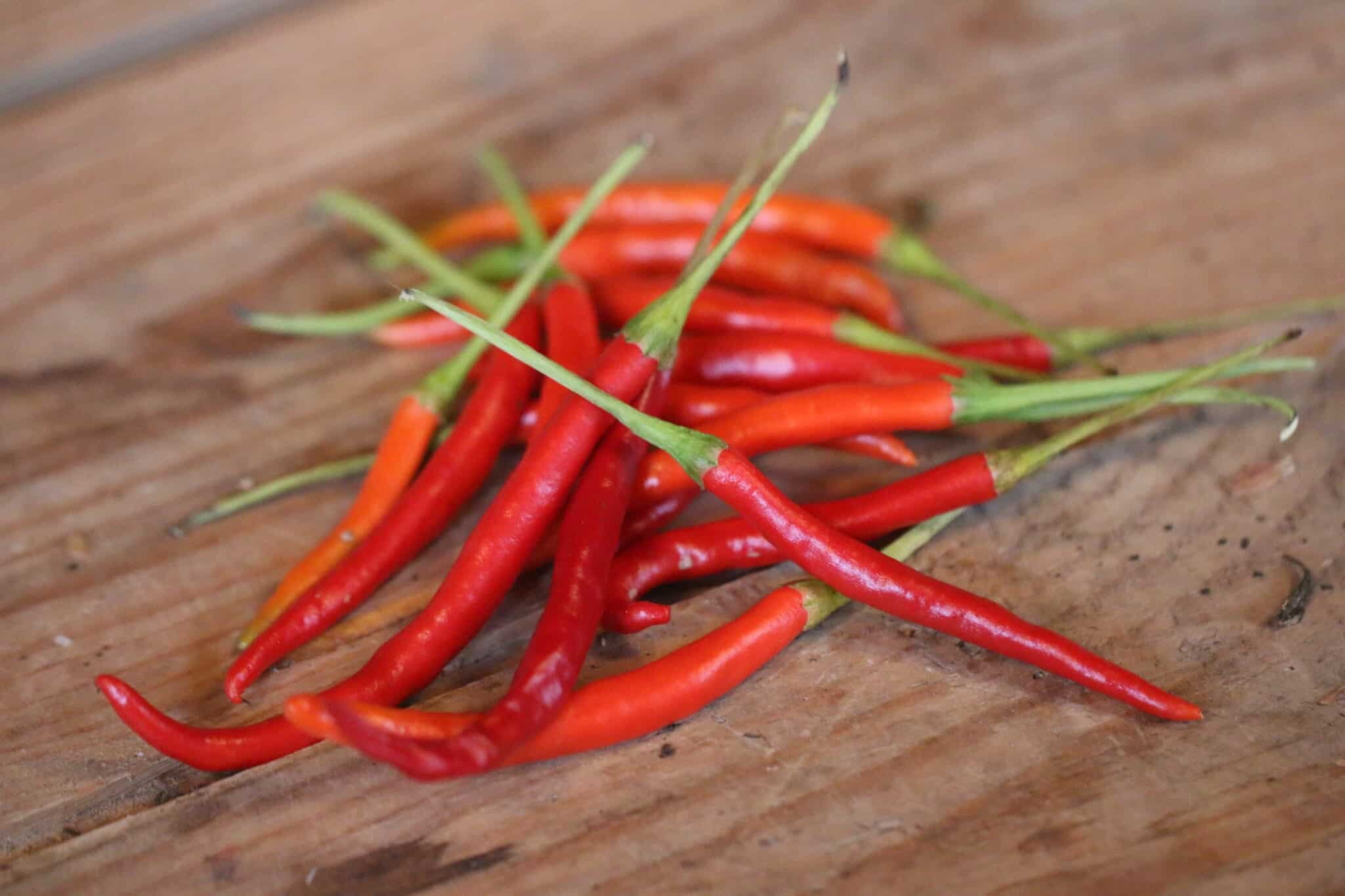 Köp Cola de Rata - Chilifrön online hos Svenska Frön Cola de Rata - Svenskodlade chilifrön från Svenska Frön