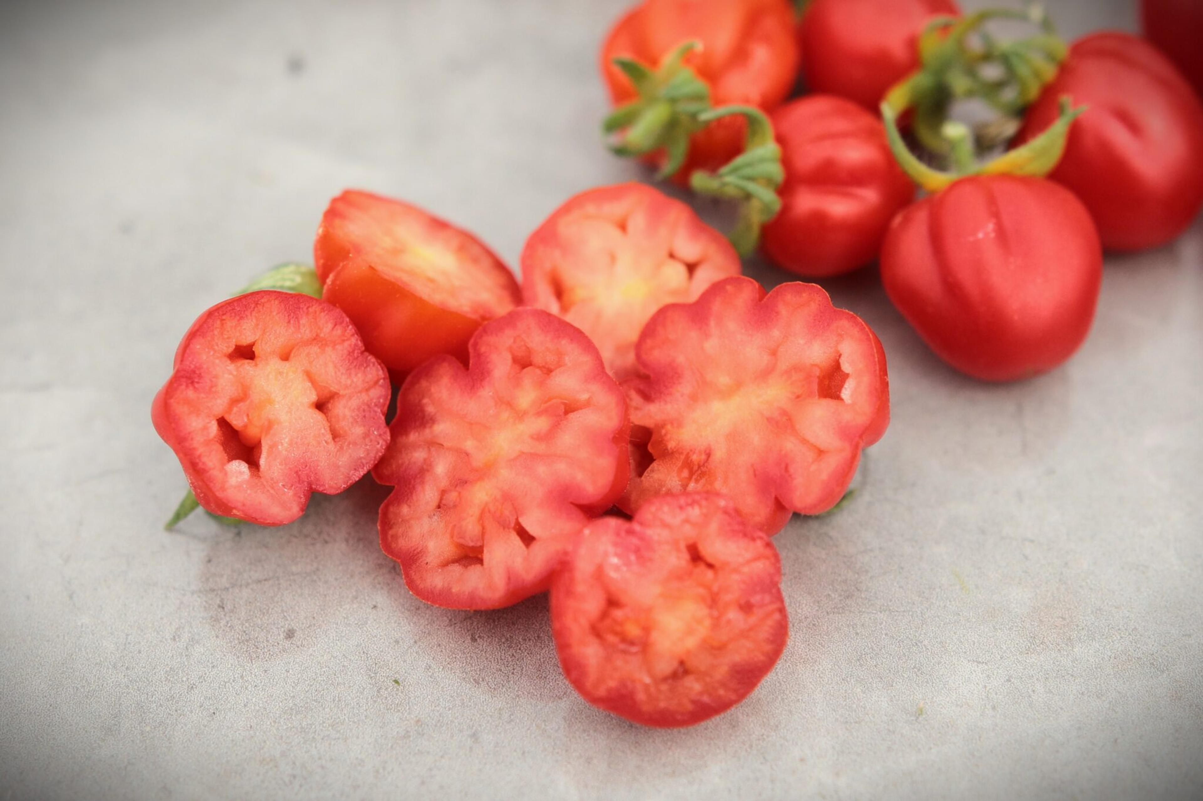 Accordion Cherry miniatyrbild 2