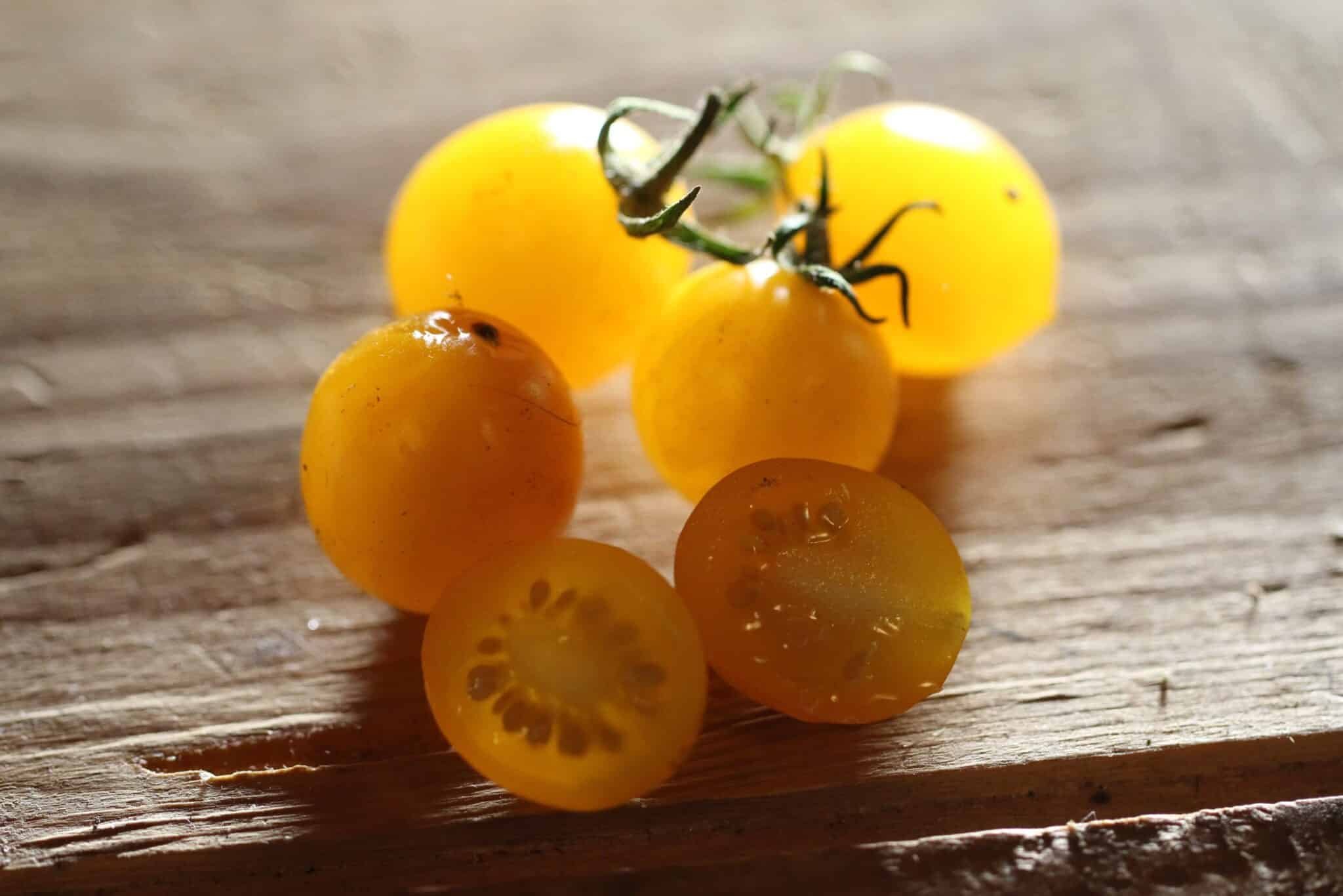 Köp Mirabell - Tomatfrön online hos Svenska Frön Mirabell - Svenskodlade tomatfrön från Svenska Frön