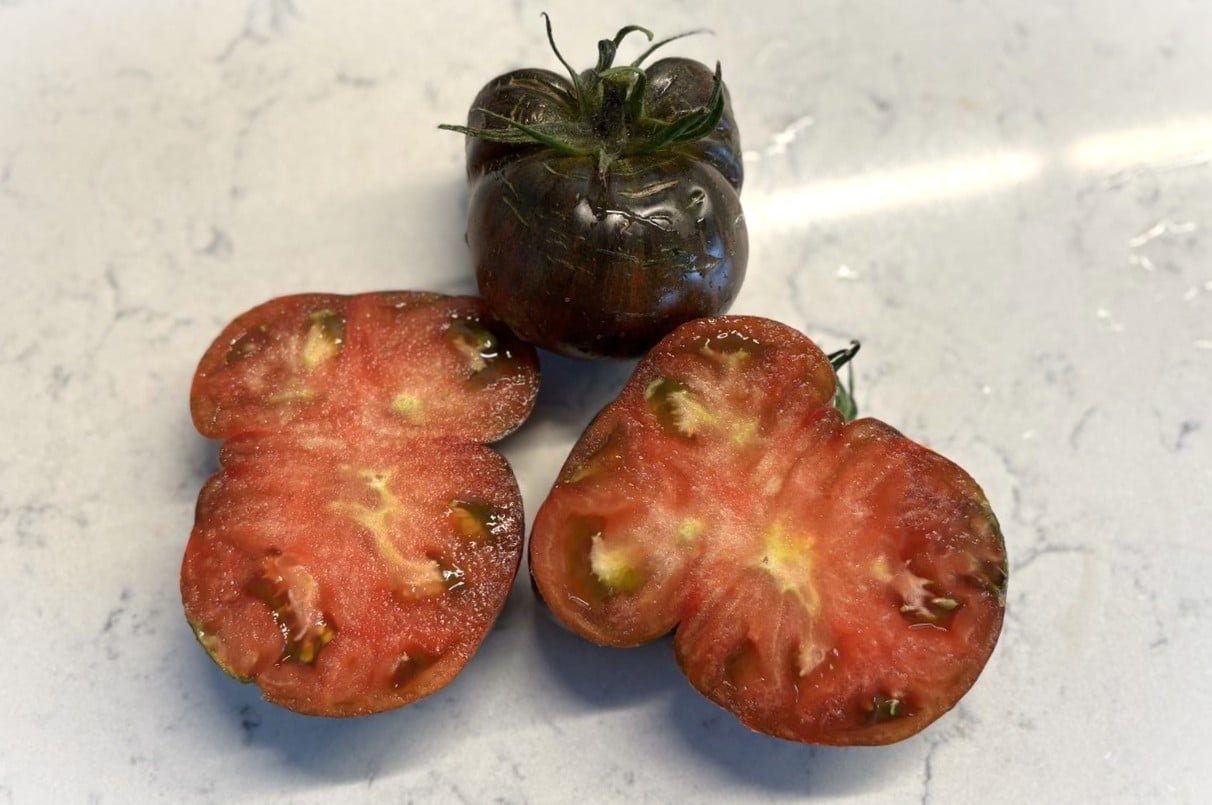 Köp Blood Moon - Tomatfrön online hos Svenska Frön Blood Moon - Svenskodlade tomatfrön från Svenska Frön