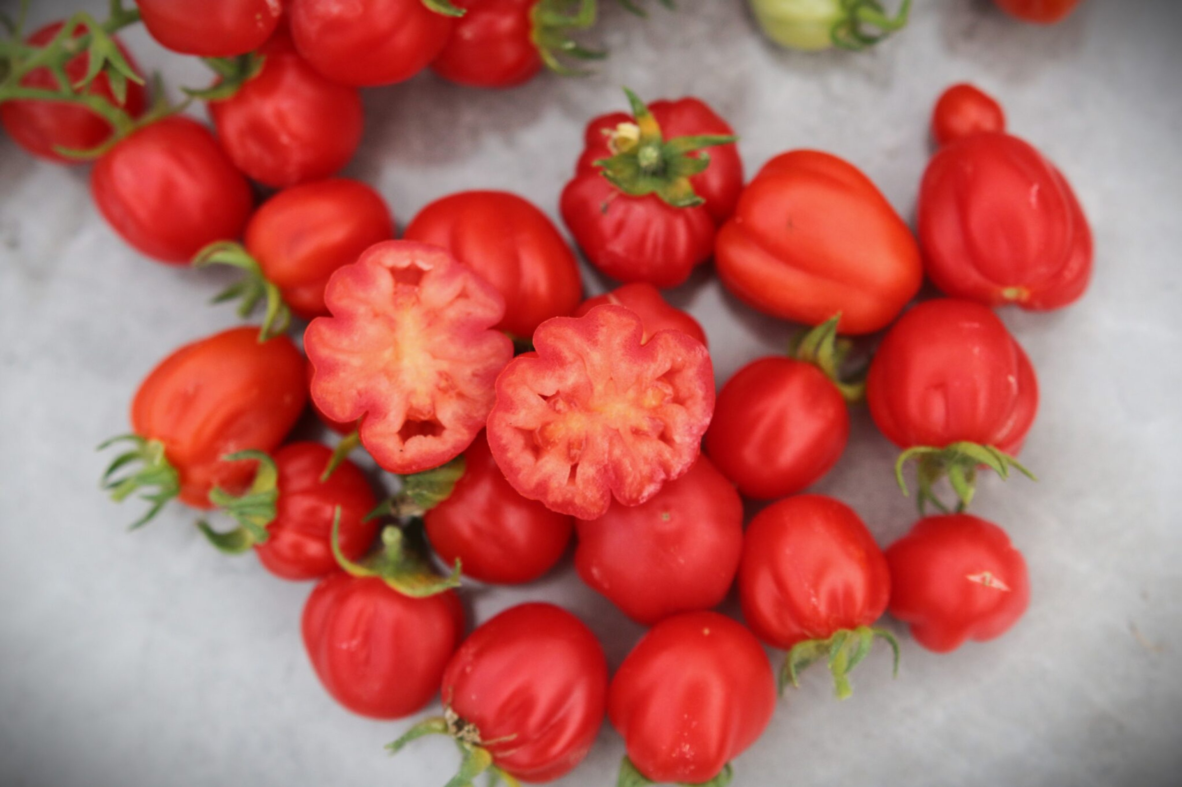 Accordion Cherry - Svenskodlade tomatfrön från Svenska Frön