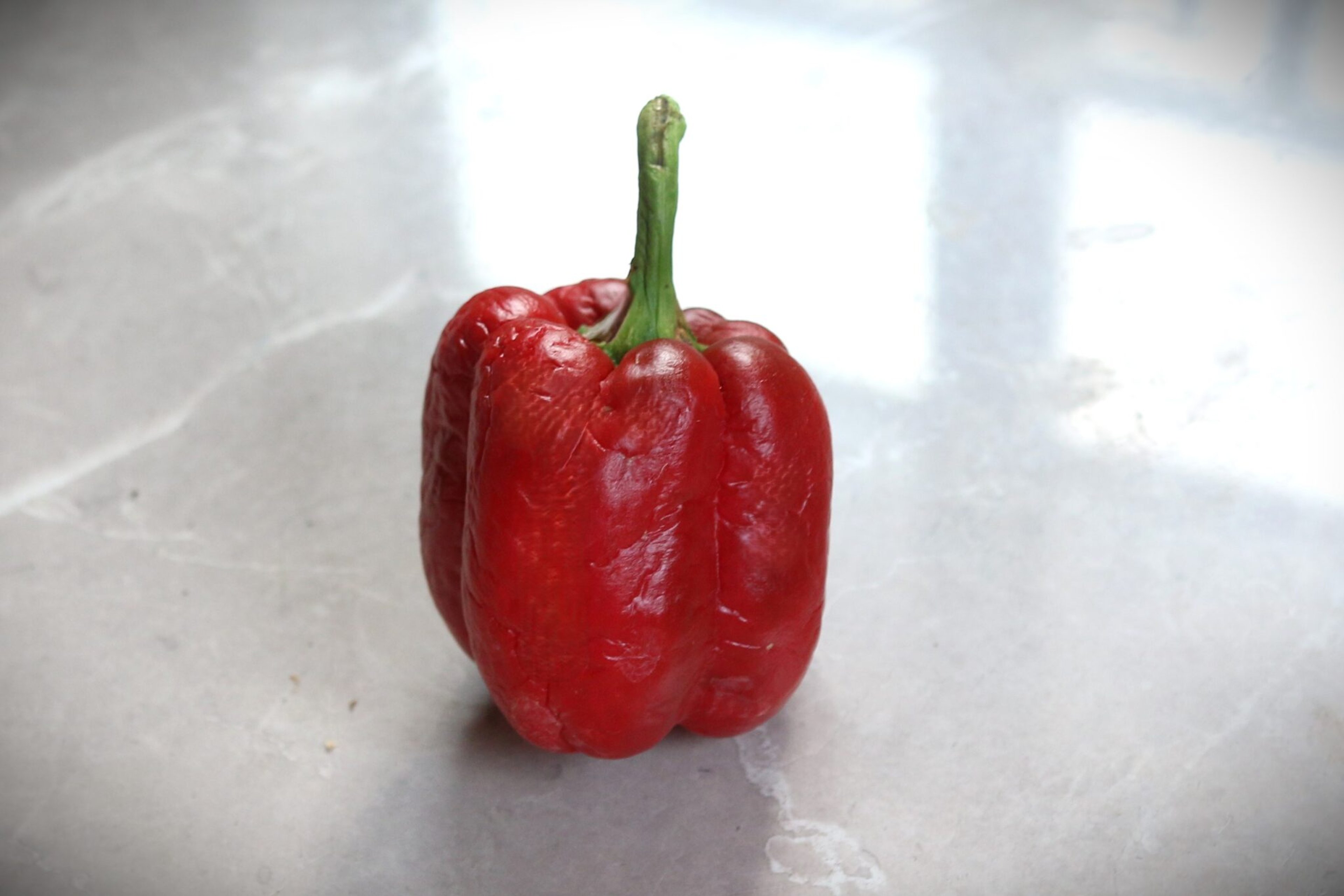 King Arthur - frön från Svenska Frön