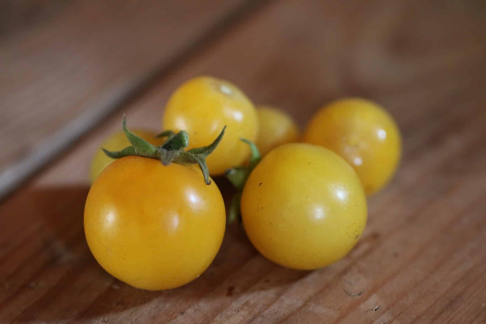 Köp Desert Star - Tomatfrön online hos Svenska Frön Desert Star - Svenskodlade tomatfrön från Svenska Frön