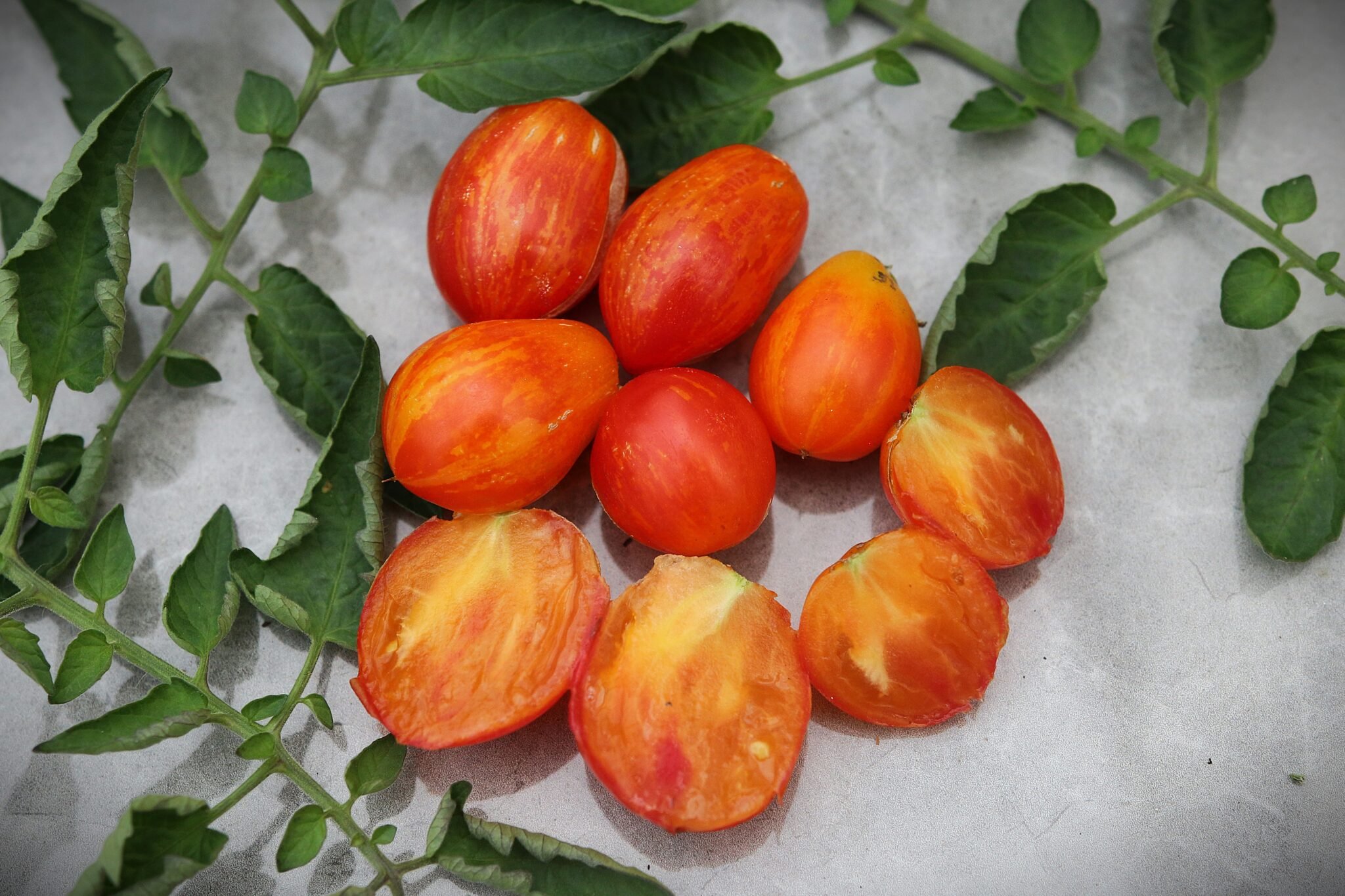 Köp Lufichoise - Tomatfrön online hos Svenska Frön Lufichoise - Svenskodlade tomatfrön från Svenska Frön