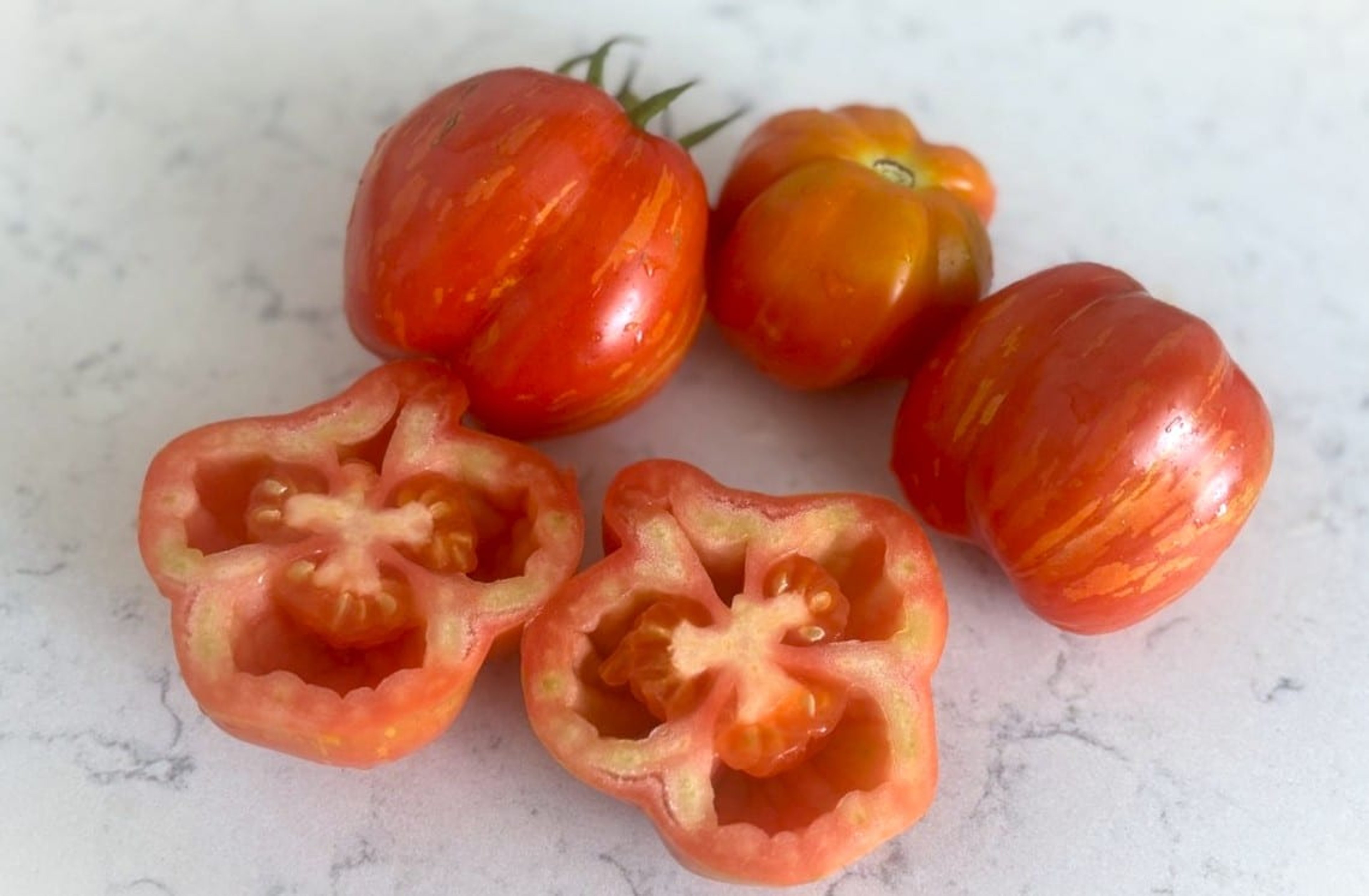 Striped Stuffer - Svenskodlade tomatfrön från Svenska Frön