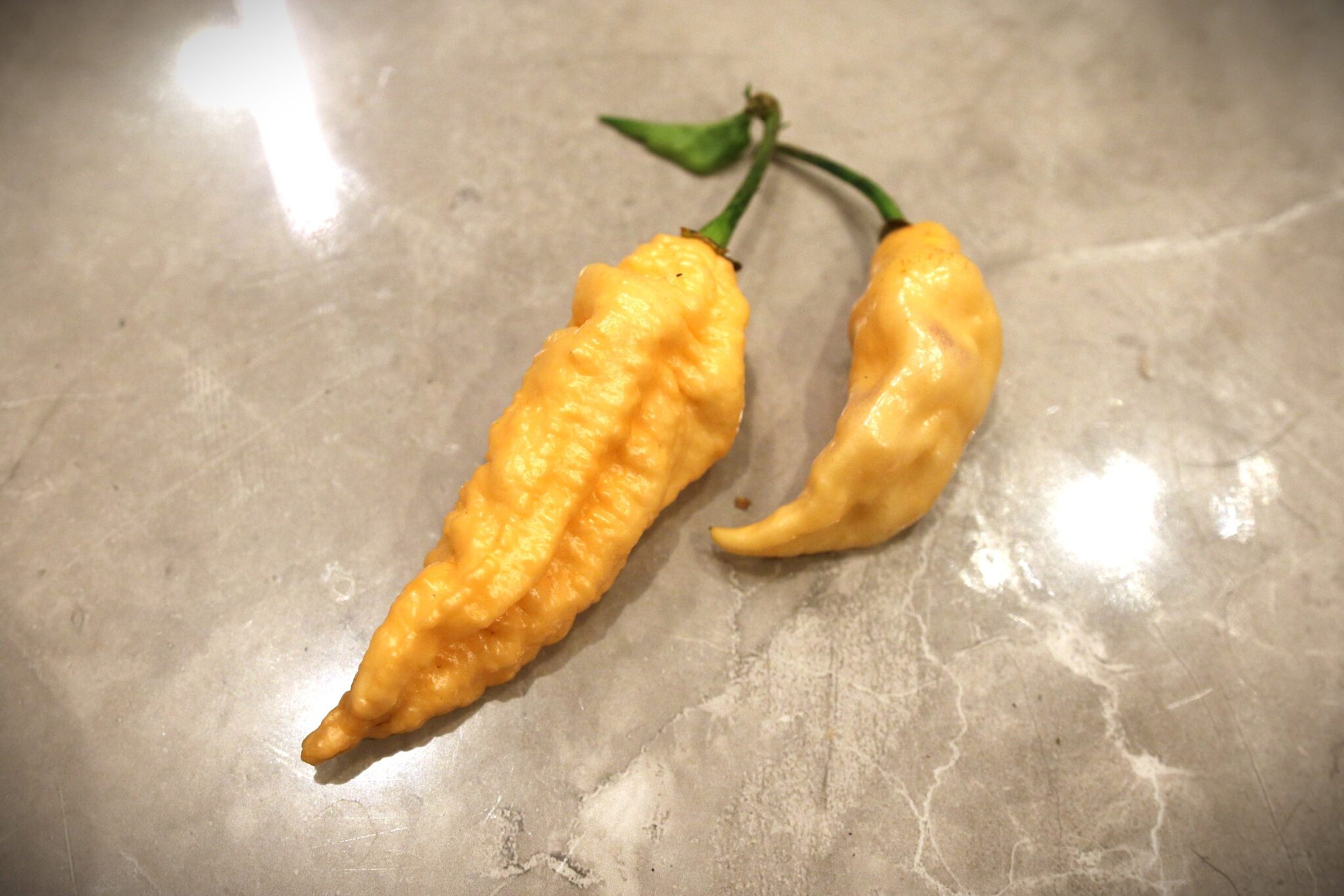 California Reaper - Svenskodlade chilifrön från Svenska Frön