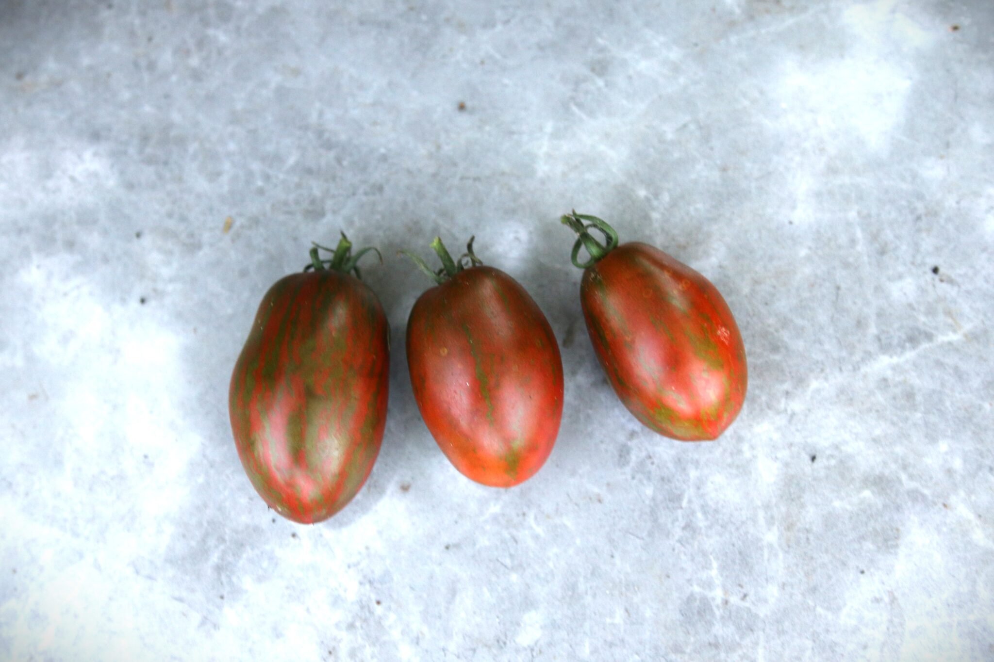 Köp Audrey's Love - Tomatfrön online hos Svenska Frön Audrey's Love - Svenskodlade tomatfrön från Svenska Frön