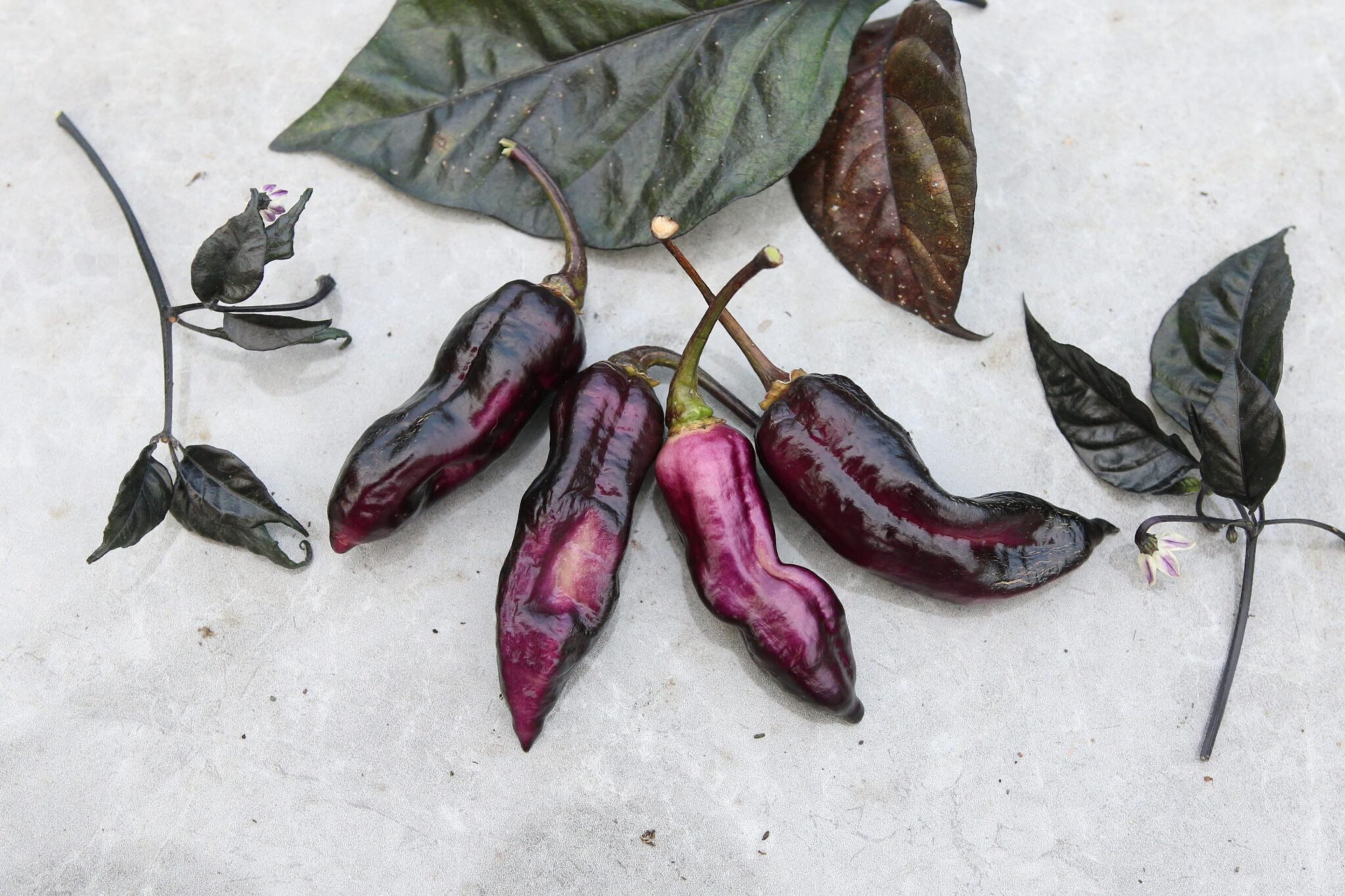 Black Hole Horizon miniatyrbild 4