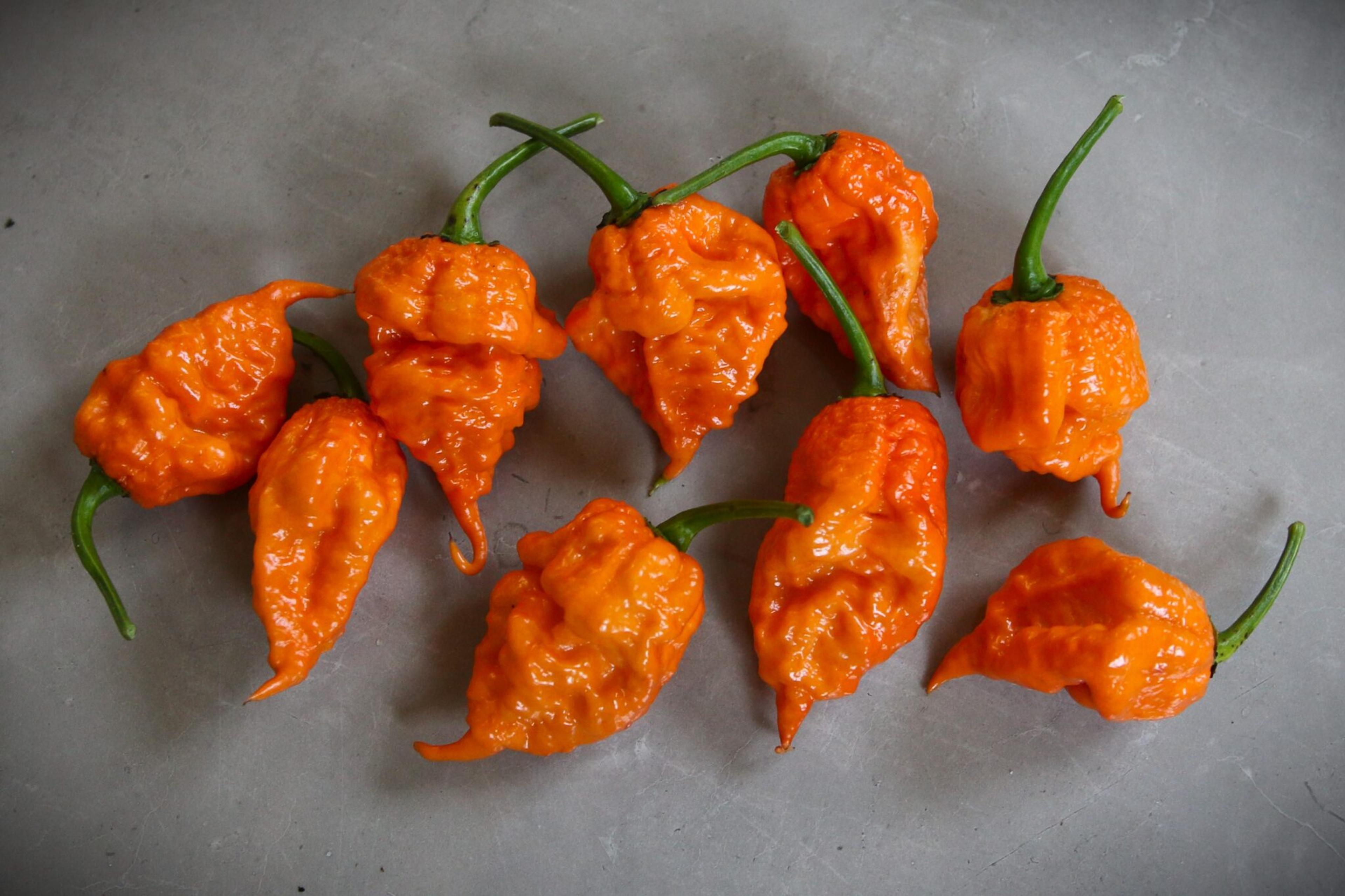 Douglah Inception miniatyrbild 2