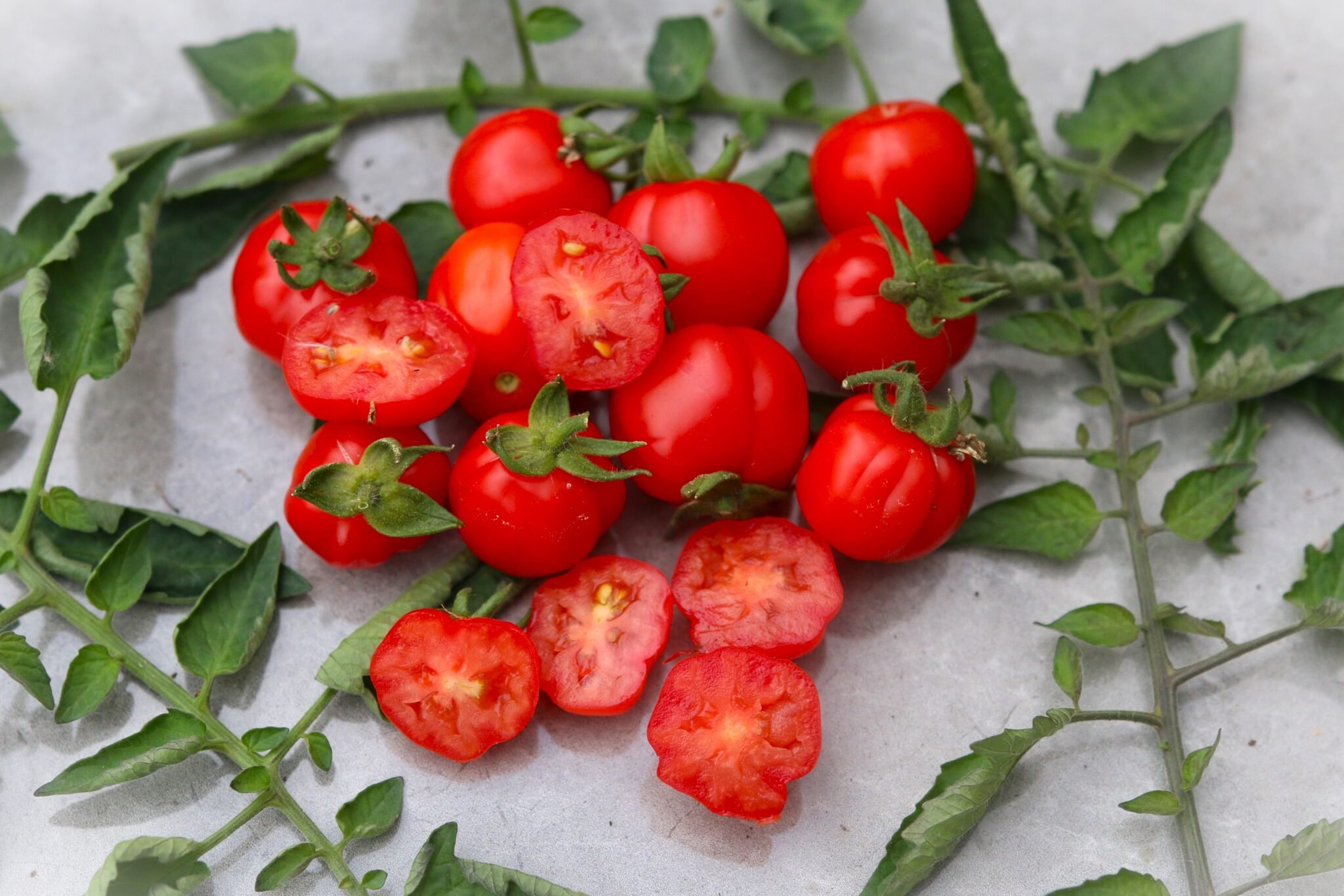Köp Ballen - Tomatfrön online hos Svenska Frön Ballen - Svenskodlade tomatfrön från Svenska Frön