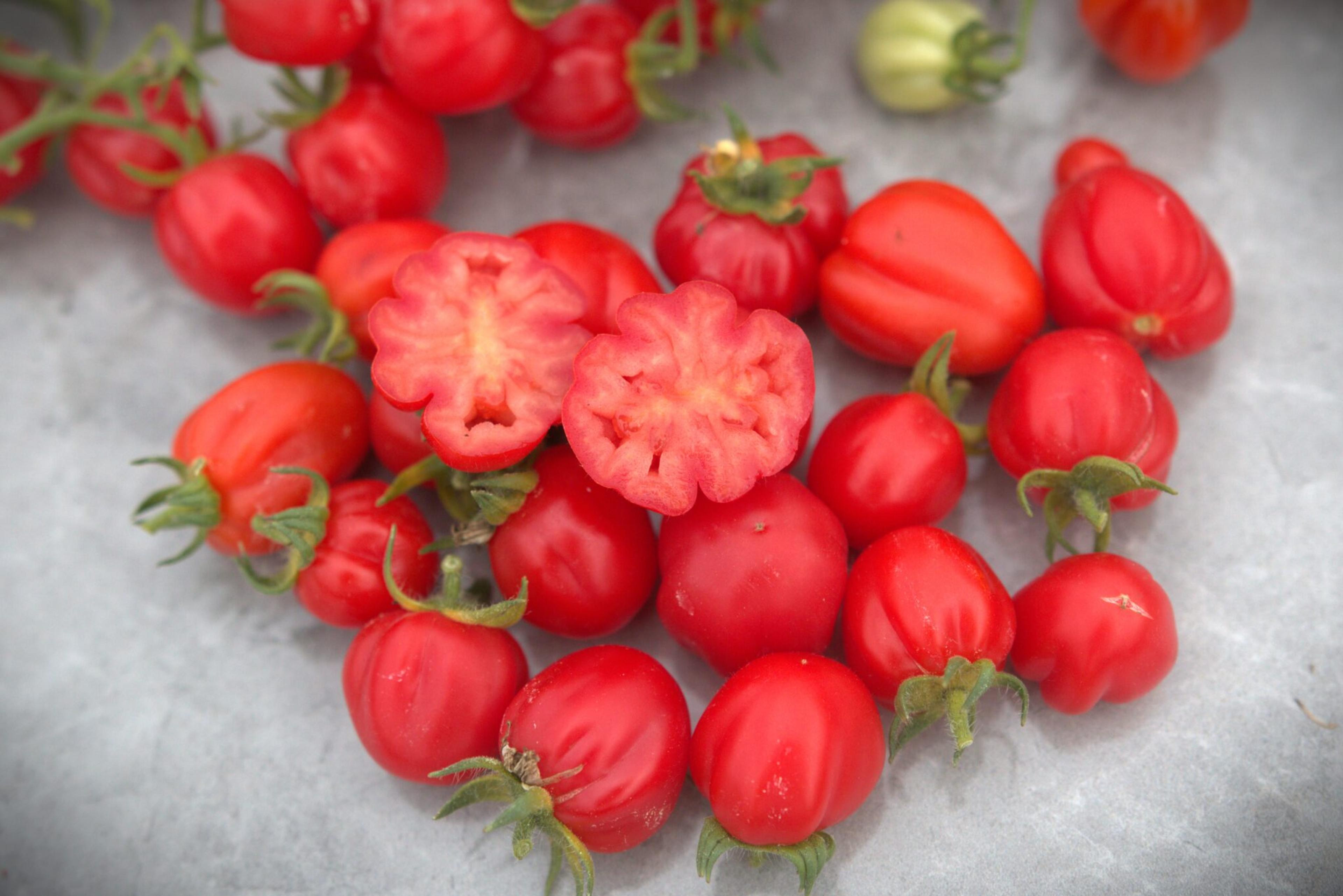 Accordion Cherry miniatyrbild 3