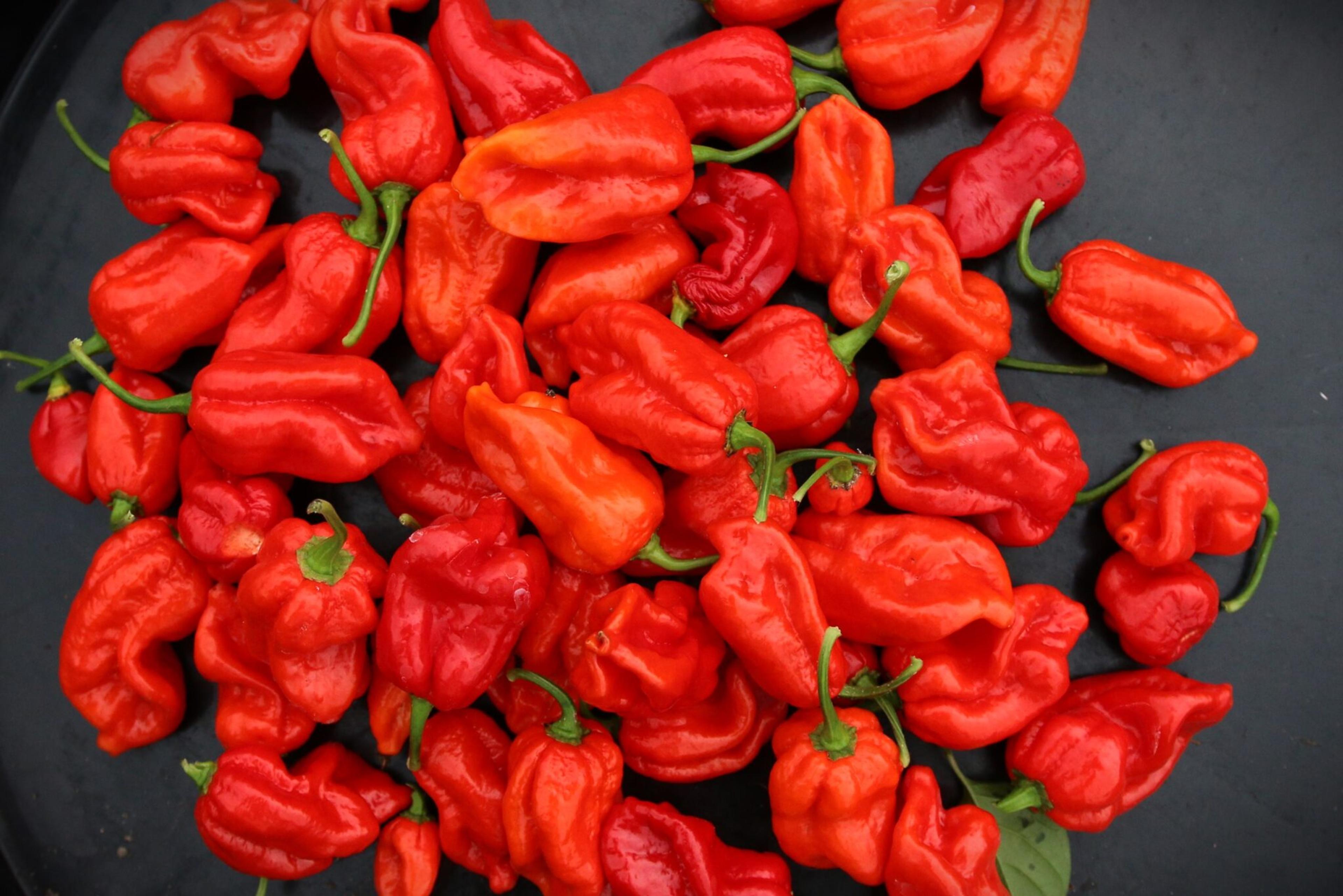 Red x DD miniatyrbild 2